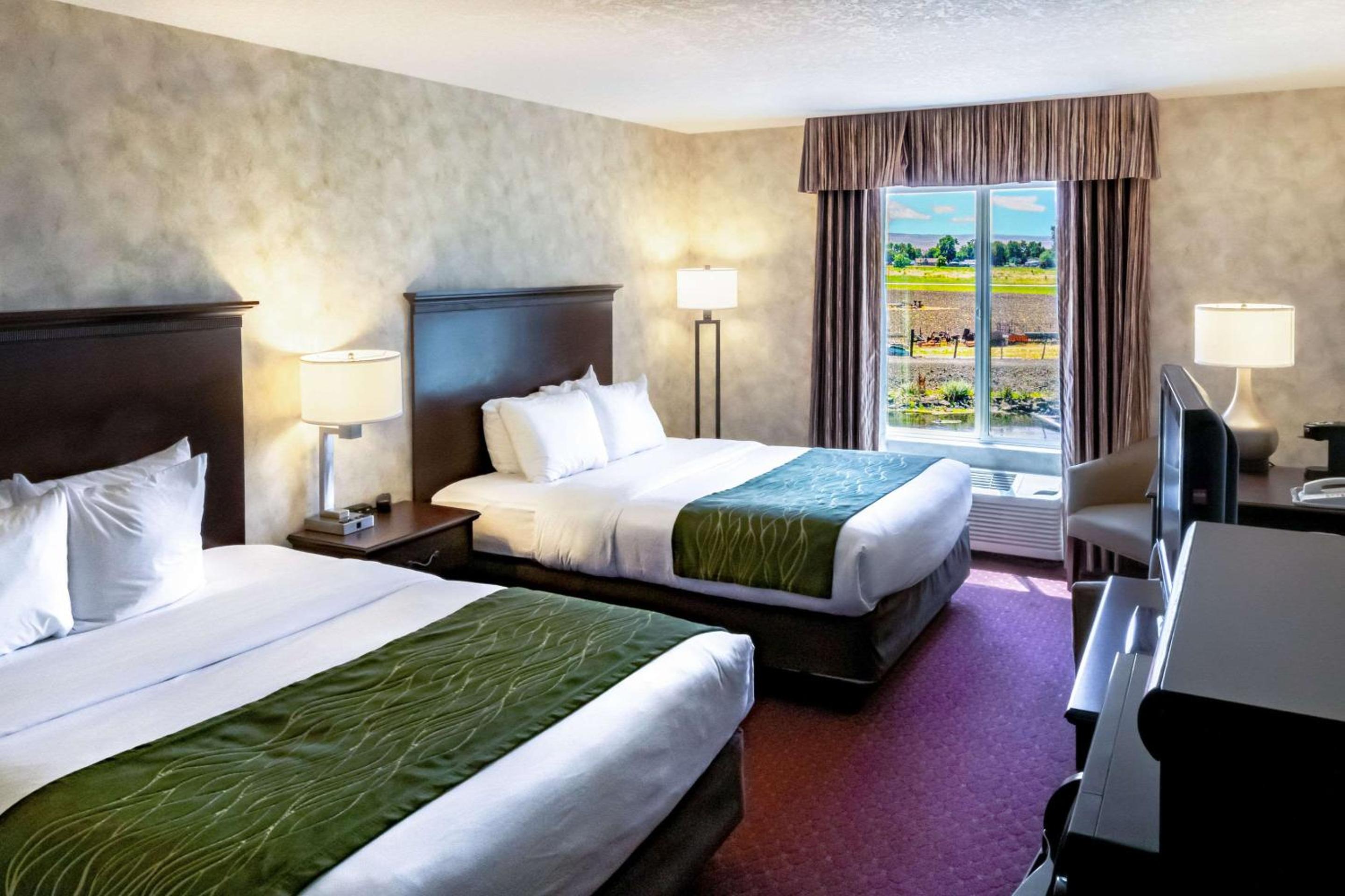 Queen Room with Two Queen Beds - Non-Smoking - Photo 1