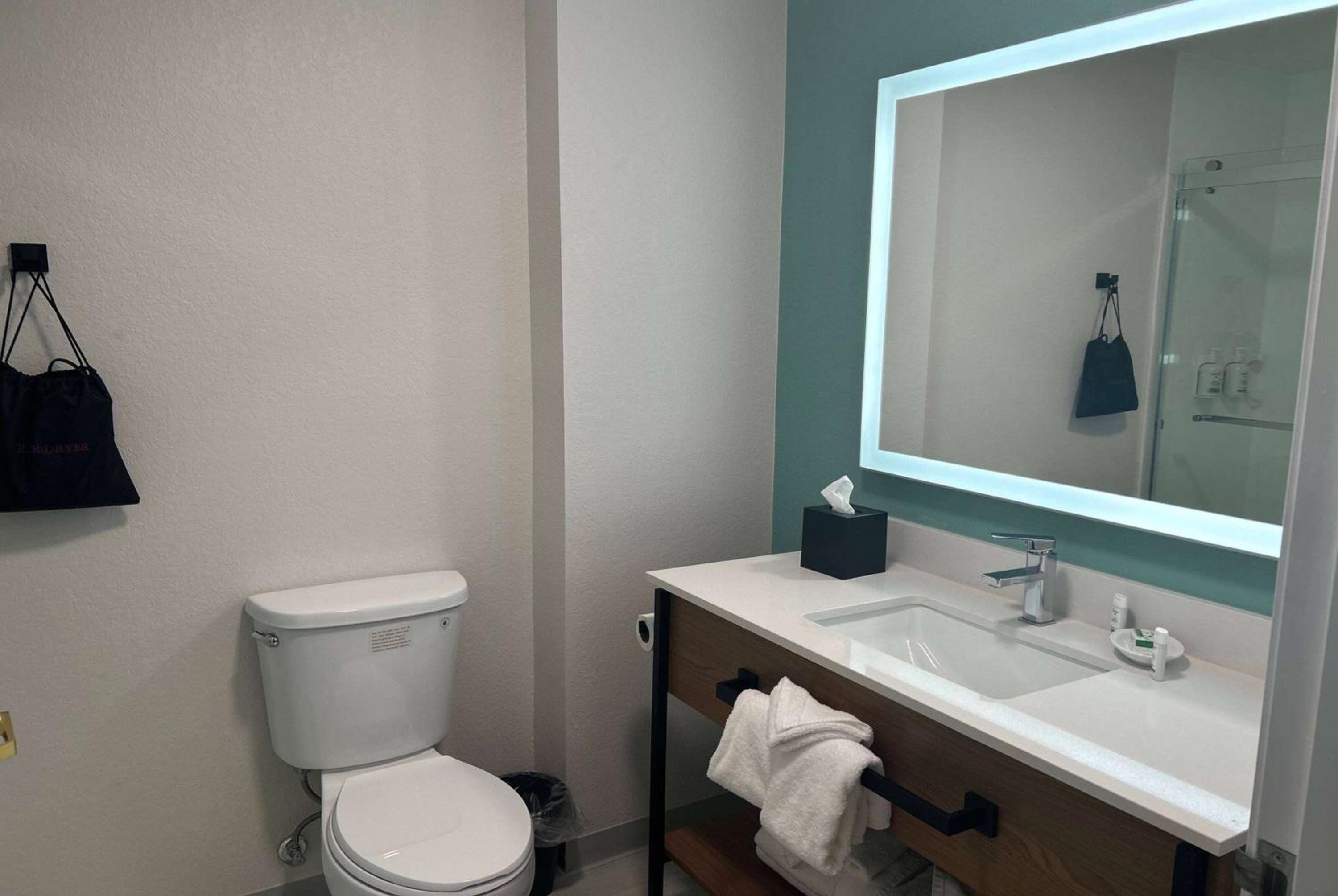 King Suite with One King Bed and Kitchenette - Non-Smoking - Photo 3