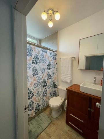 Deluxe King Suite photo 3