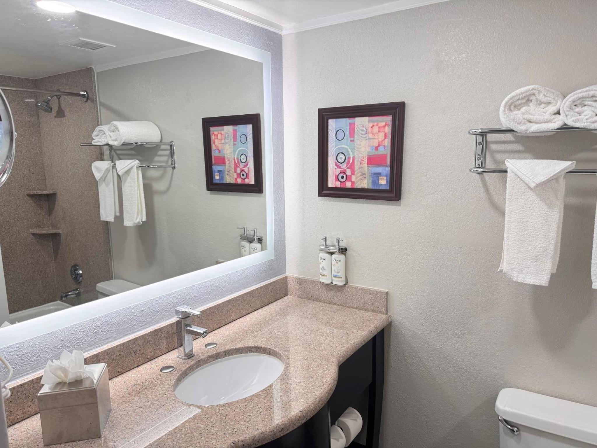 Standard Room, 1 King Bed, Roll-in Shower (Mobility)