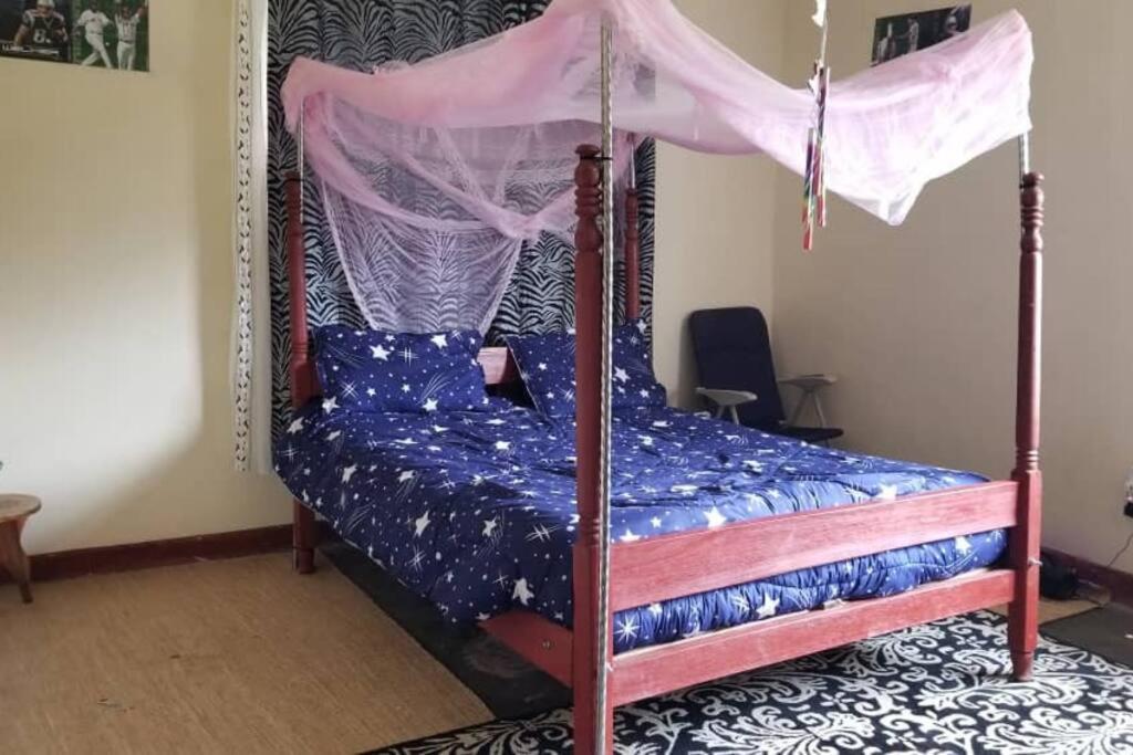 One-Bedroom House photo 1