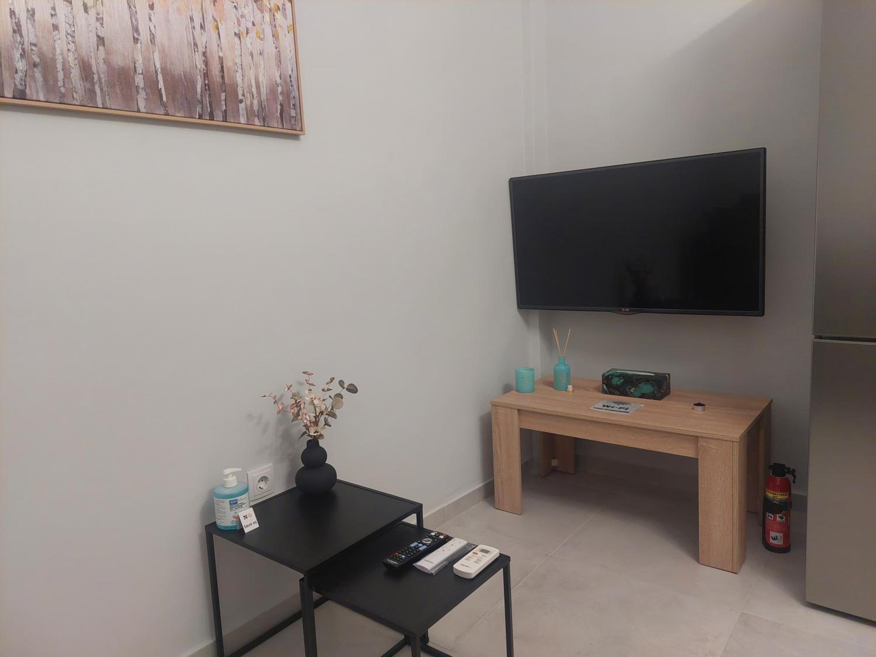 One-Bedroom Apartment photo 3