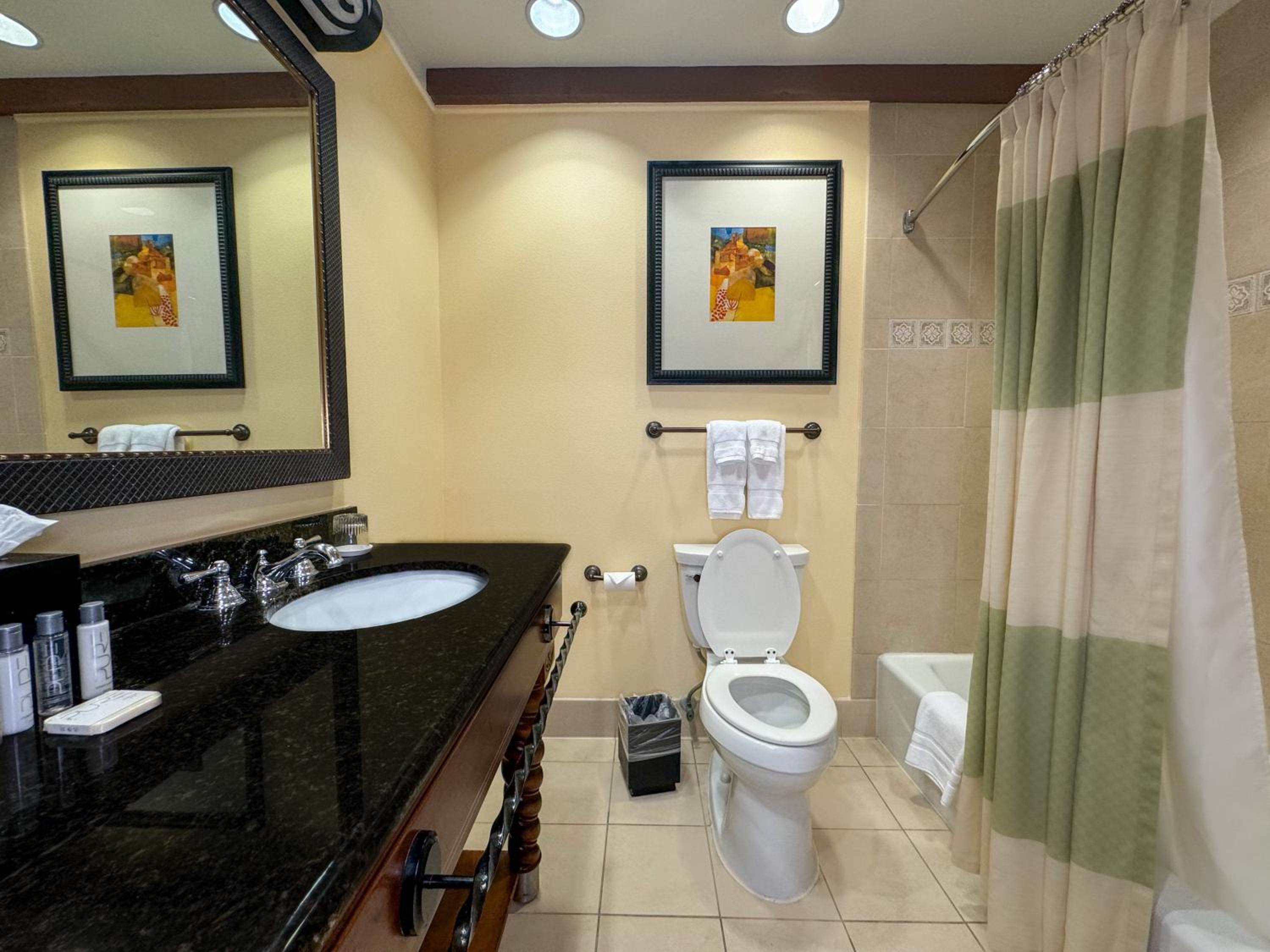 King Suite - Photo 6