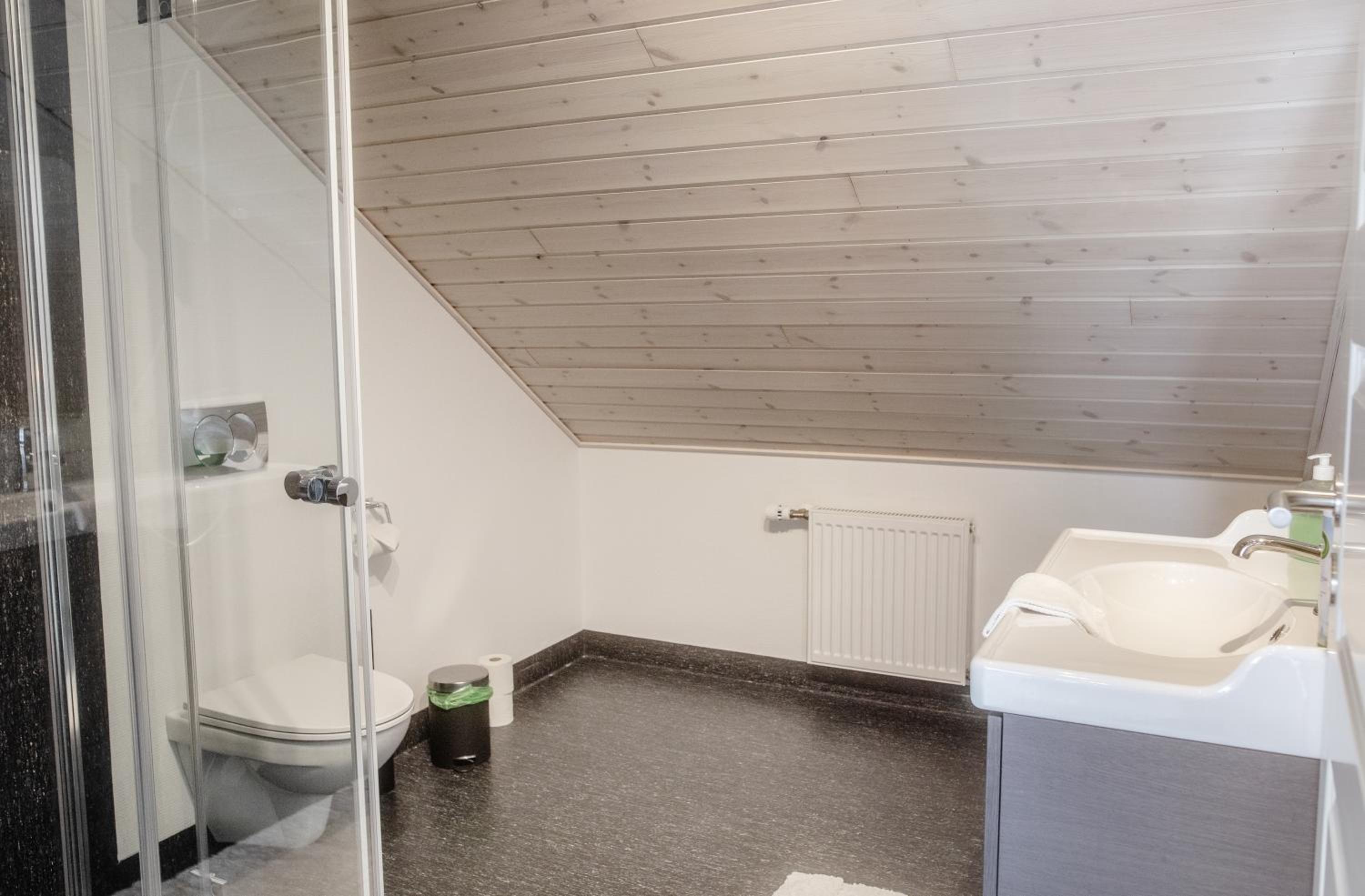 Three-Bedroom Loft Apartment photo 3