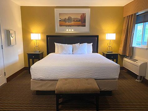 King Room photo 1