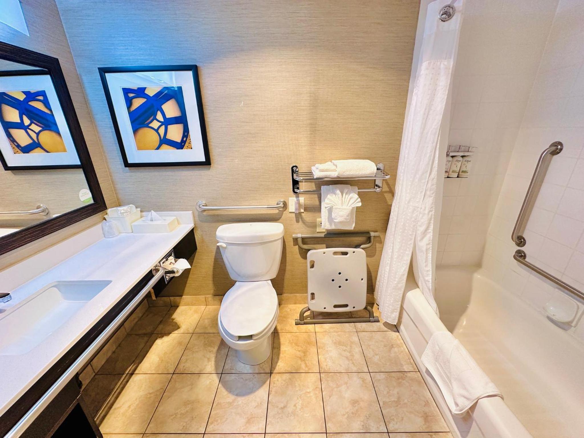 Queen Room - Mobility Access Roll in Shower/Non-Smoking - Photo 4