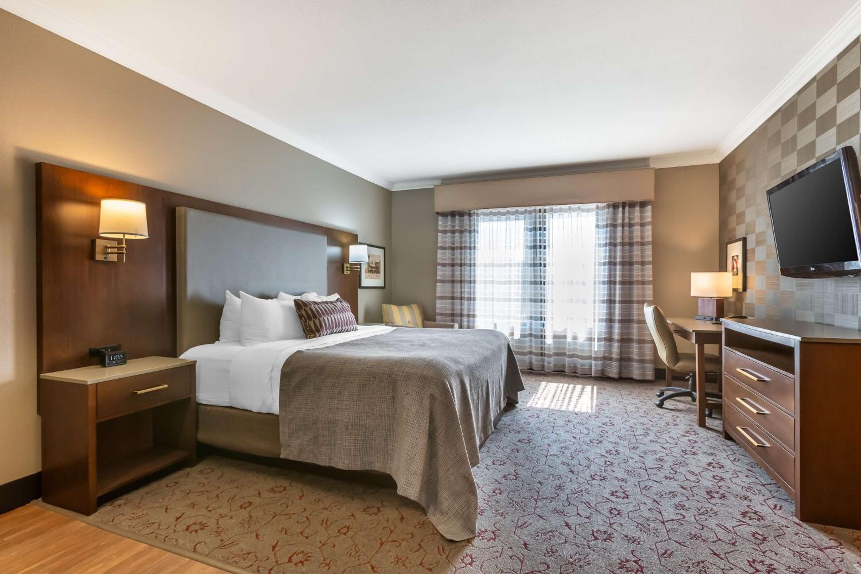 King Room
