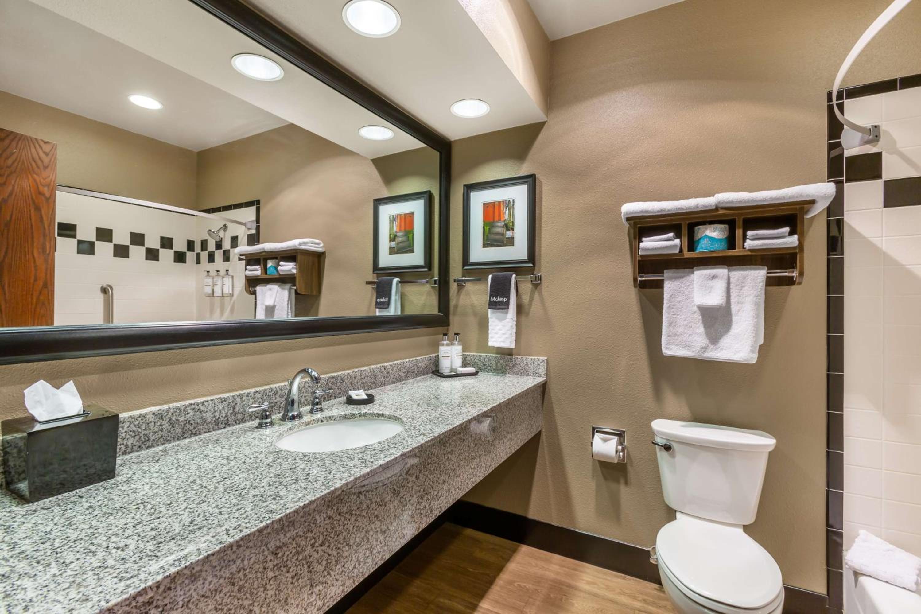 Mini King Suite - Non-Smoking photo 3