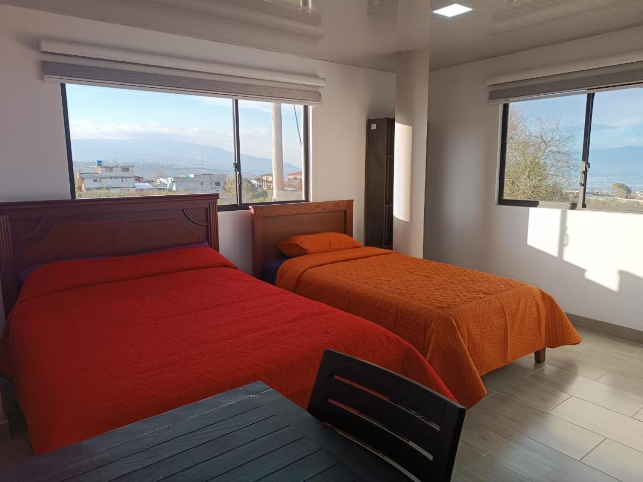Large Twin Room photo 1