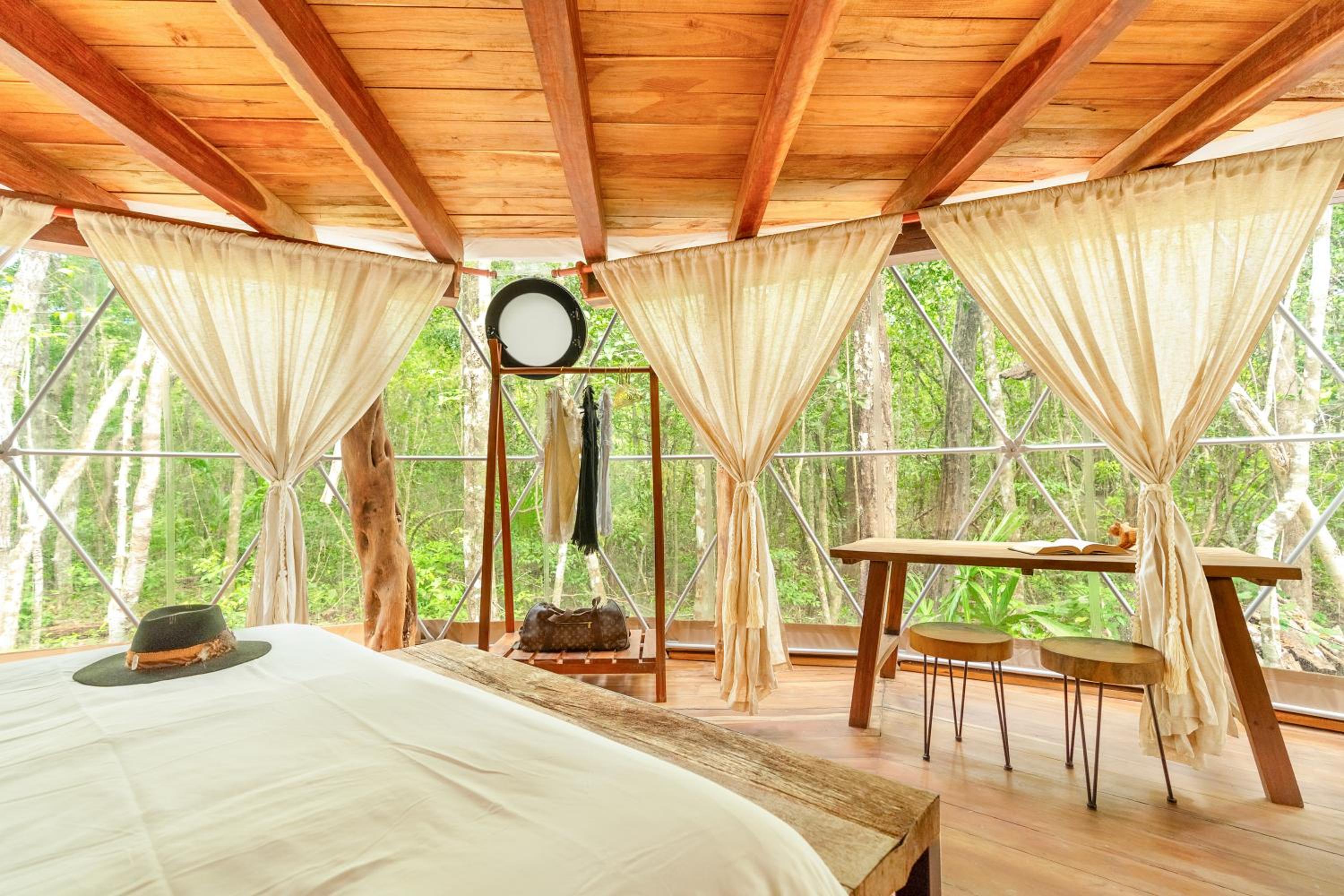 Suite with Garden View photo 1