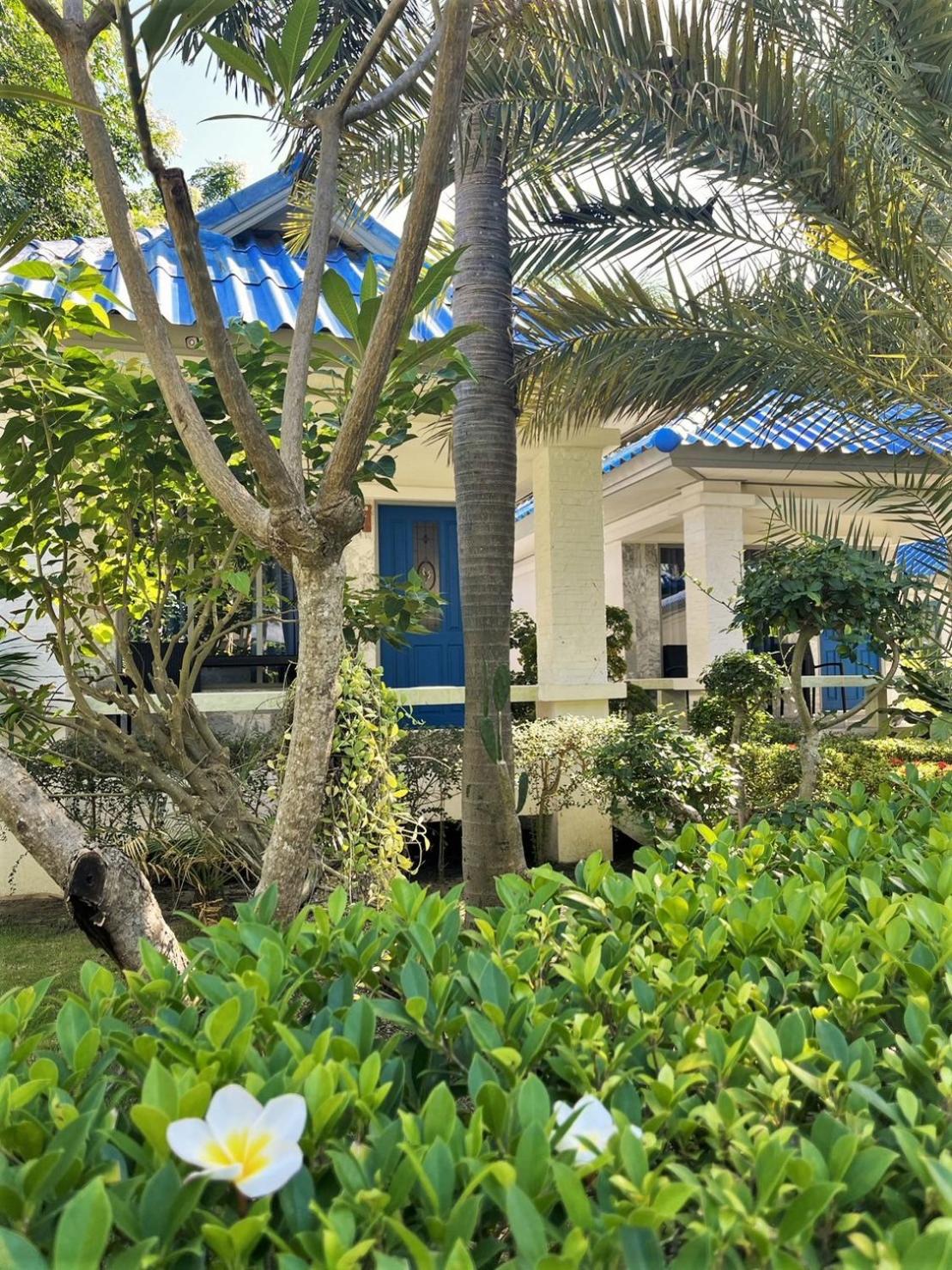 Garden Bungalow with Twin Beds  photo 2