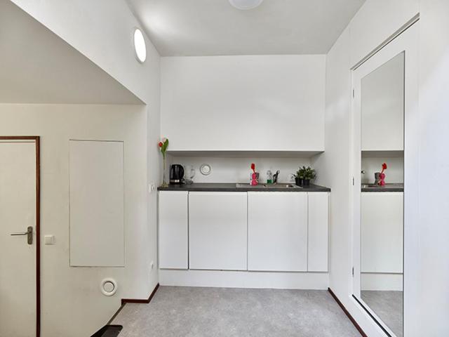 Duplex Apartment photo 3