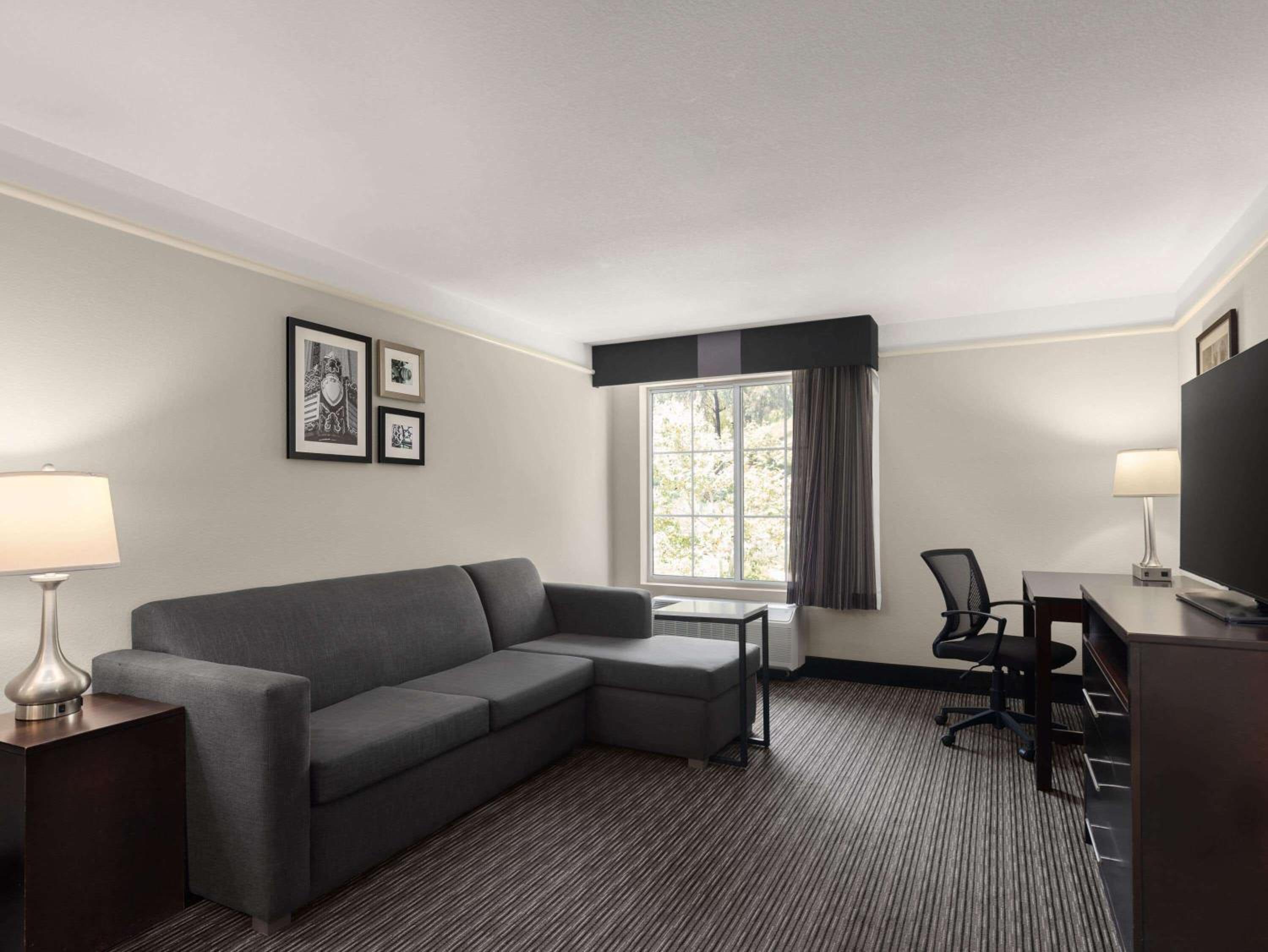 One-Bedroom Suite photo 3