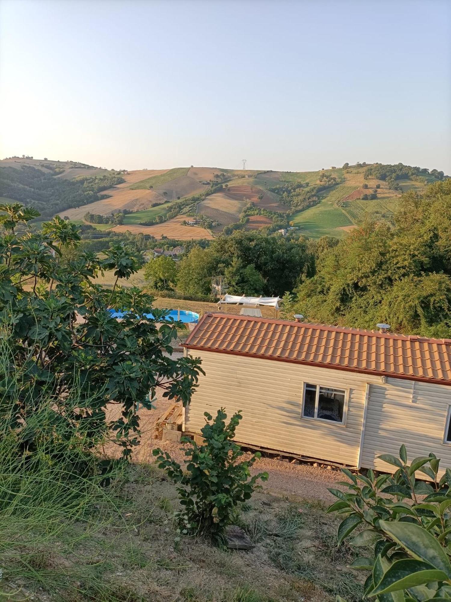 Mobile Home photo 2