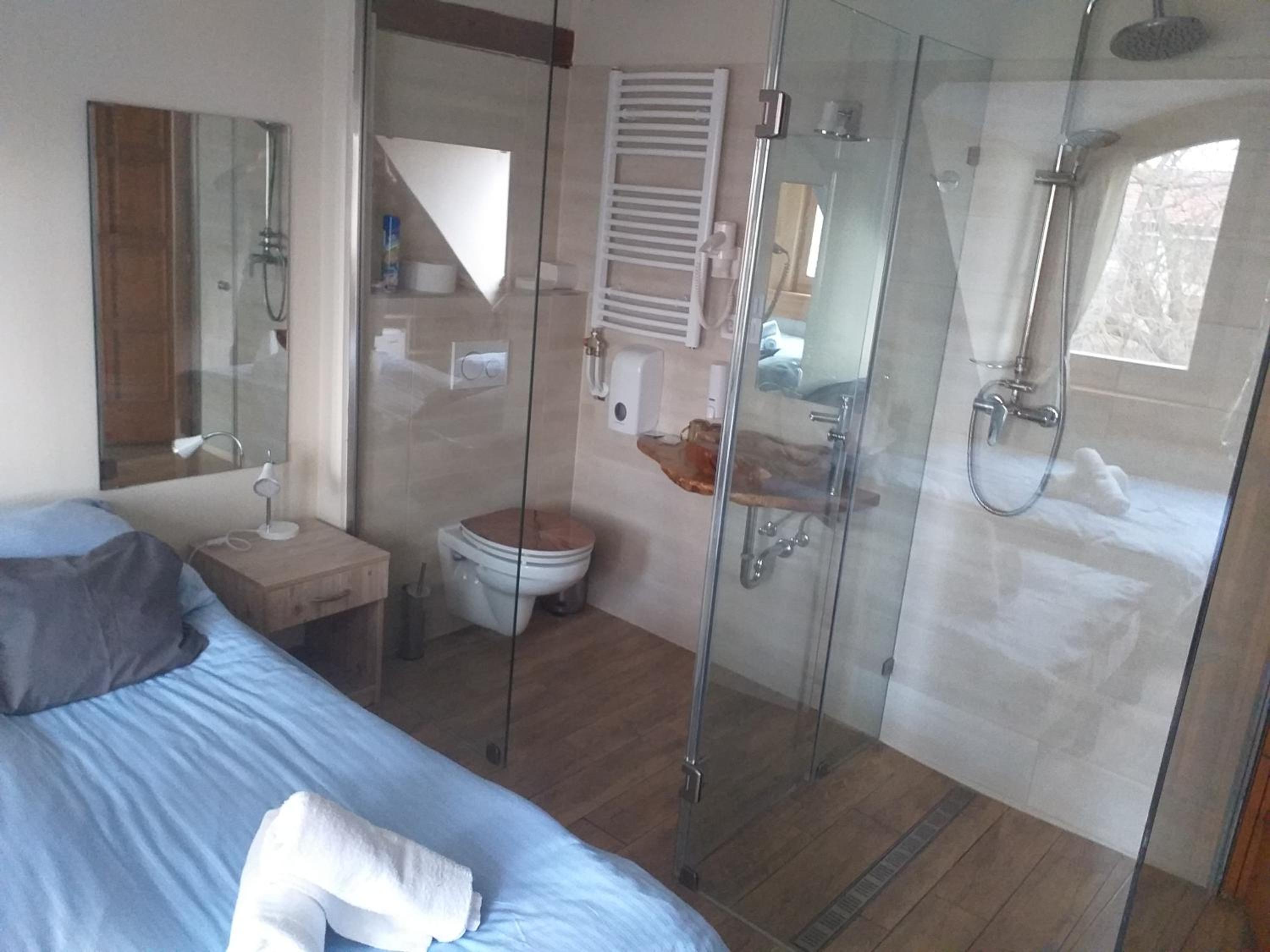 Deluxe Double or Twin Room photo 2