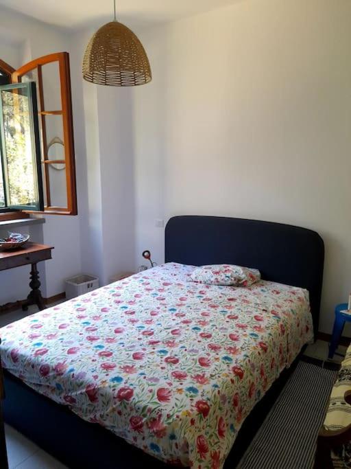 One-Bedroom House photo 3
