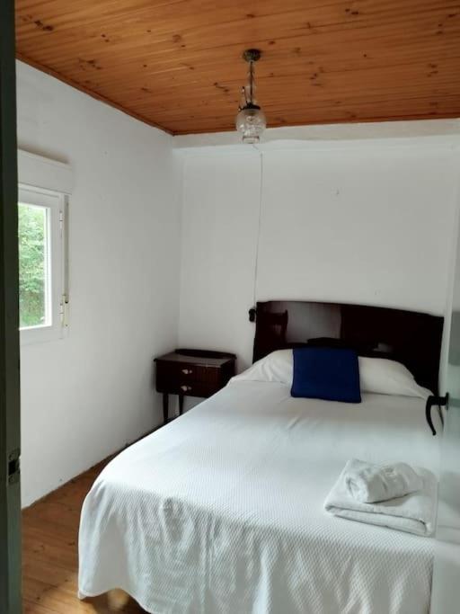 One-Bedroom House photo 2