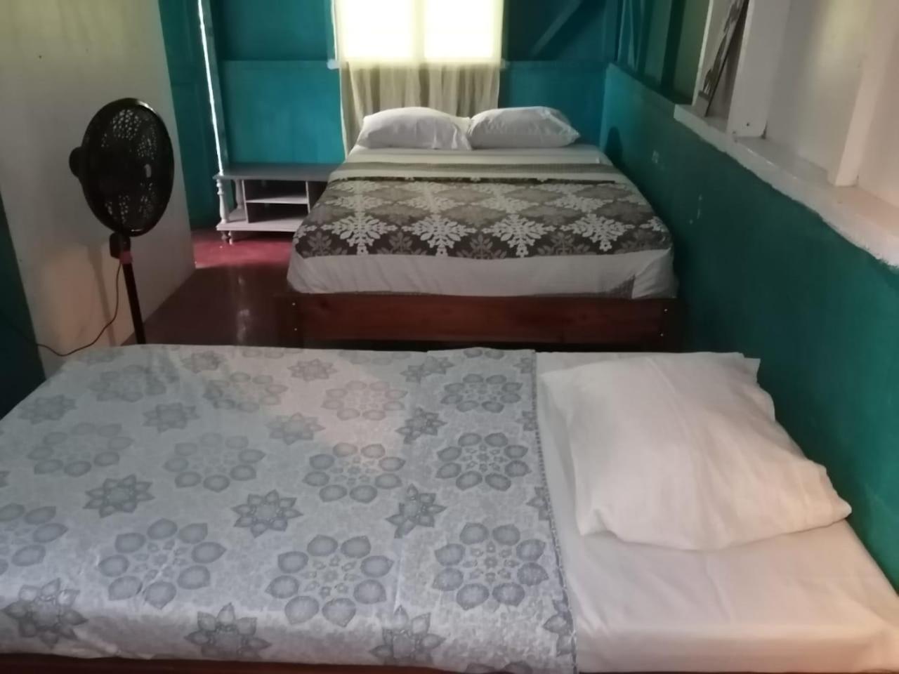 One-Bedroom House photo 1