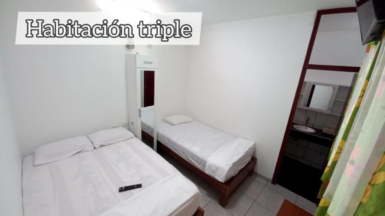 Twin Room photo 3