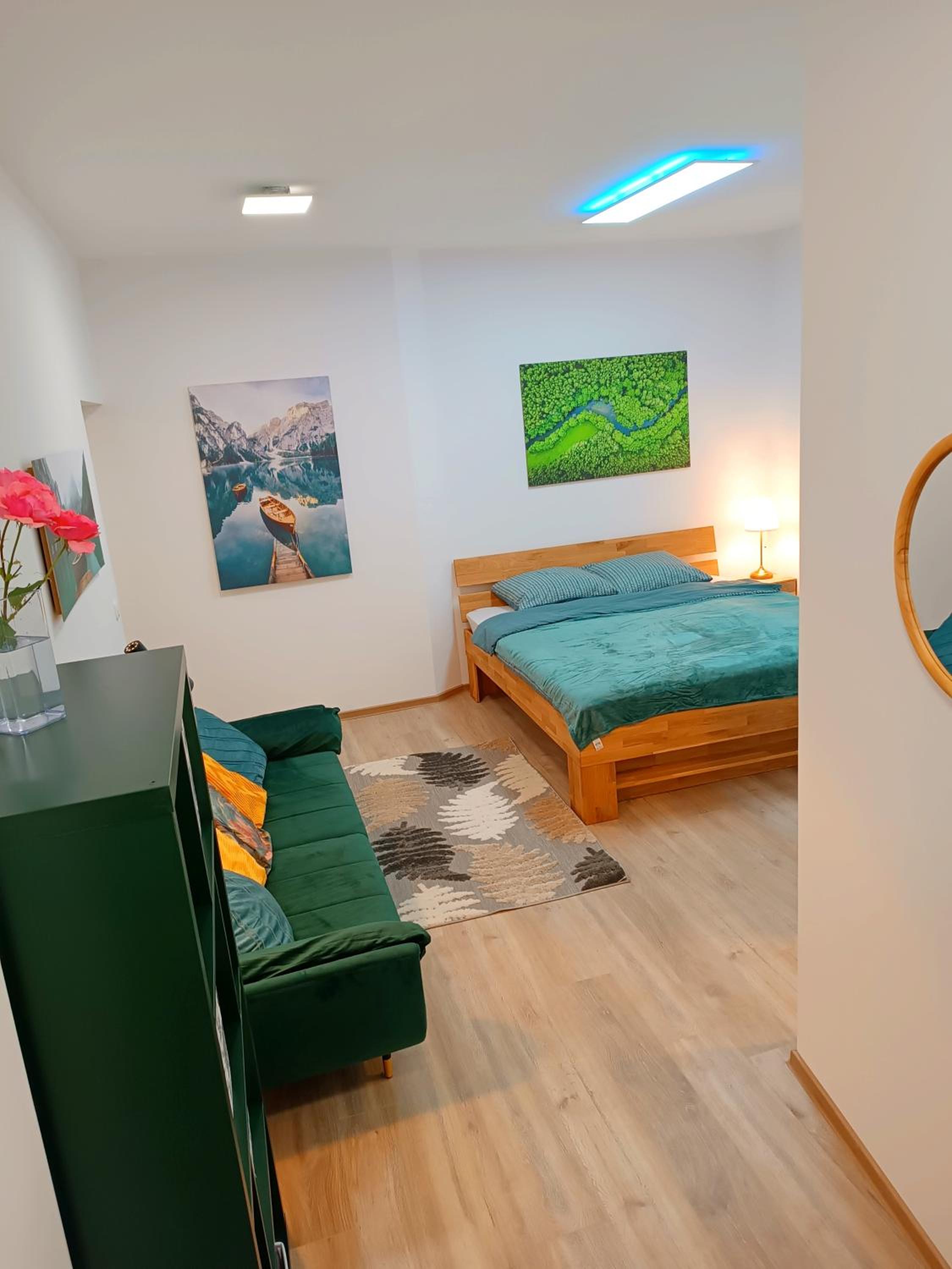 Studio Apartment with Queen Bed photo 2