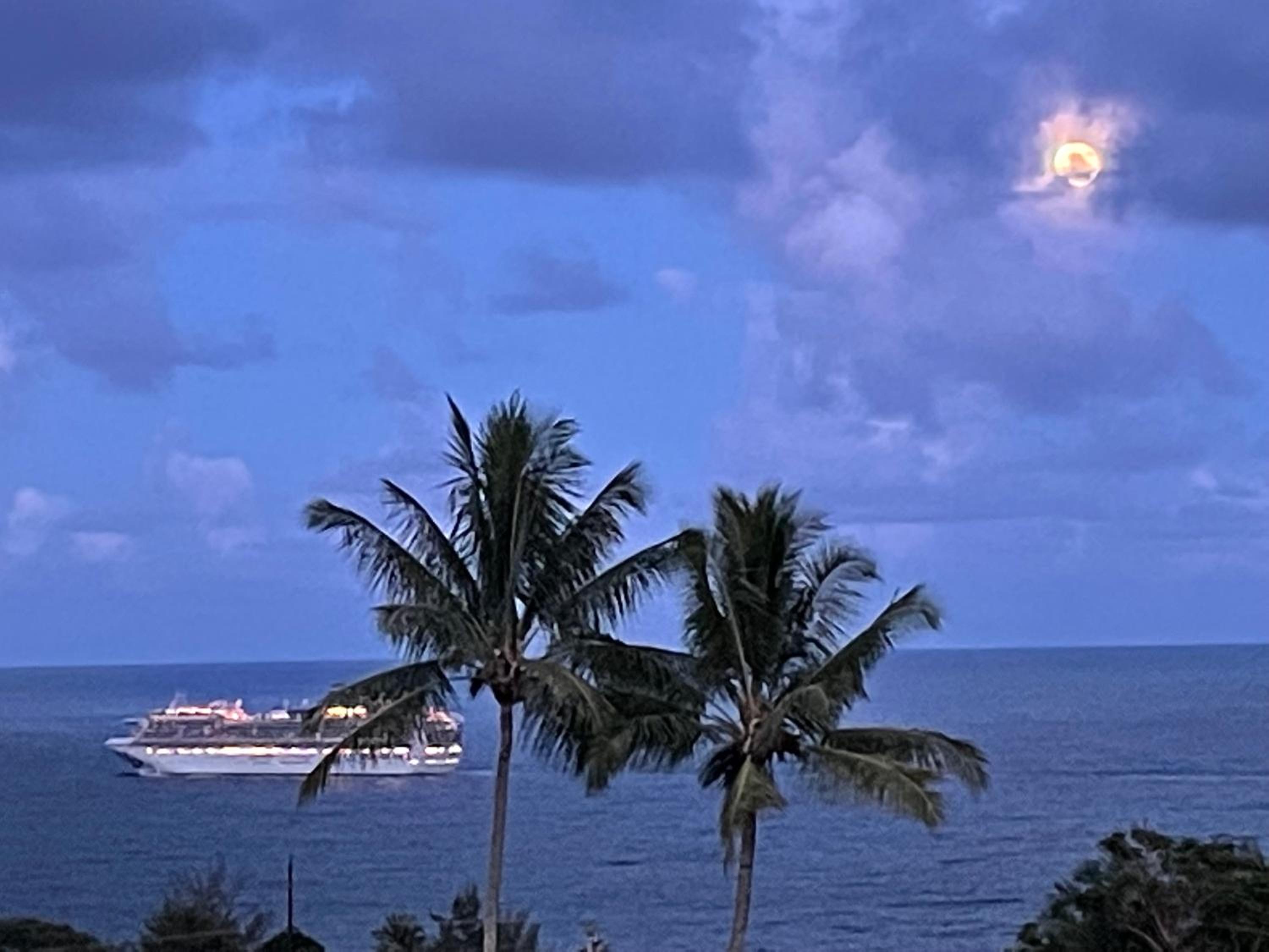 Hawaii Magic Skies B&B Farmstay, Billede 6