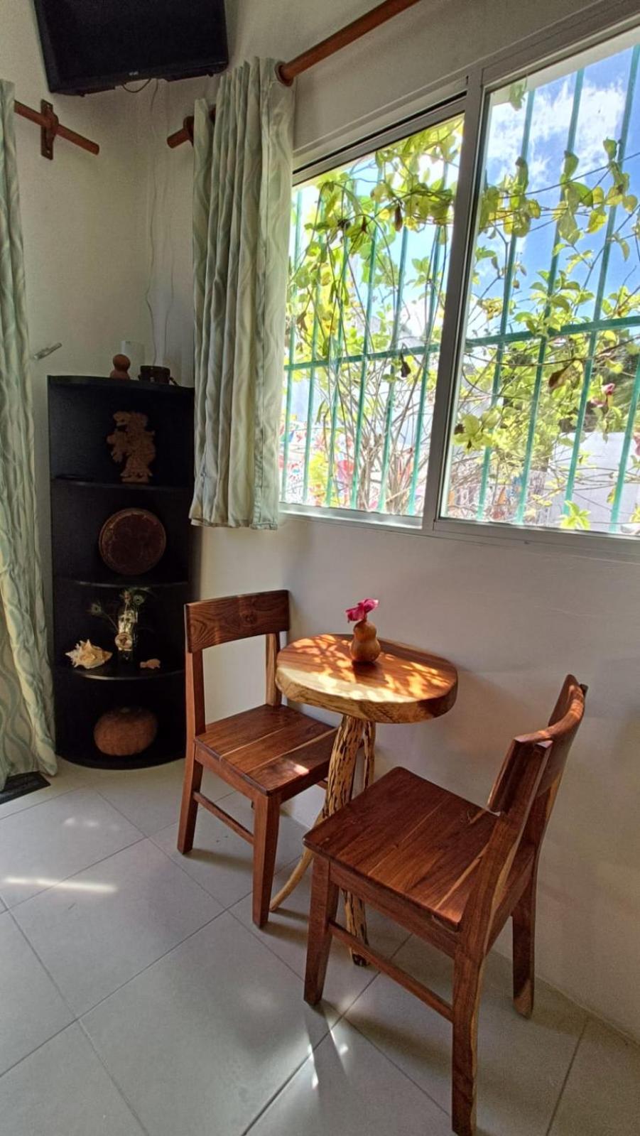 Studio With Garden View photo 2