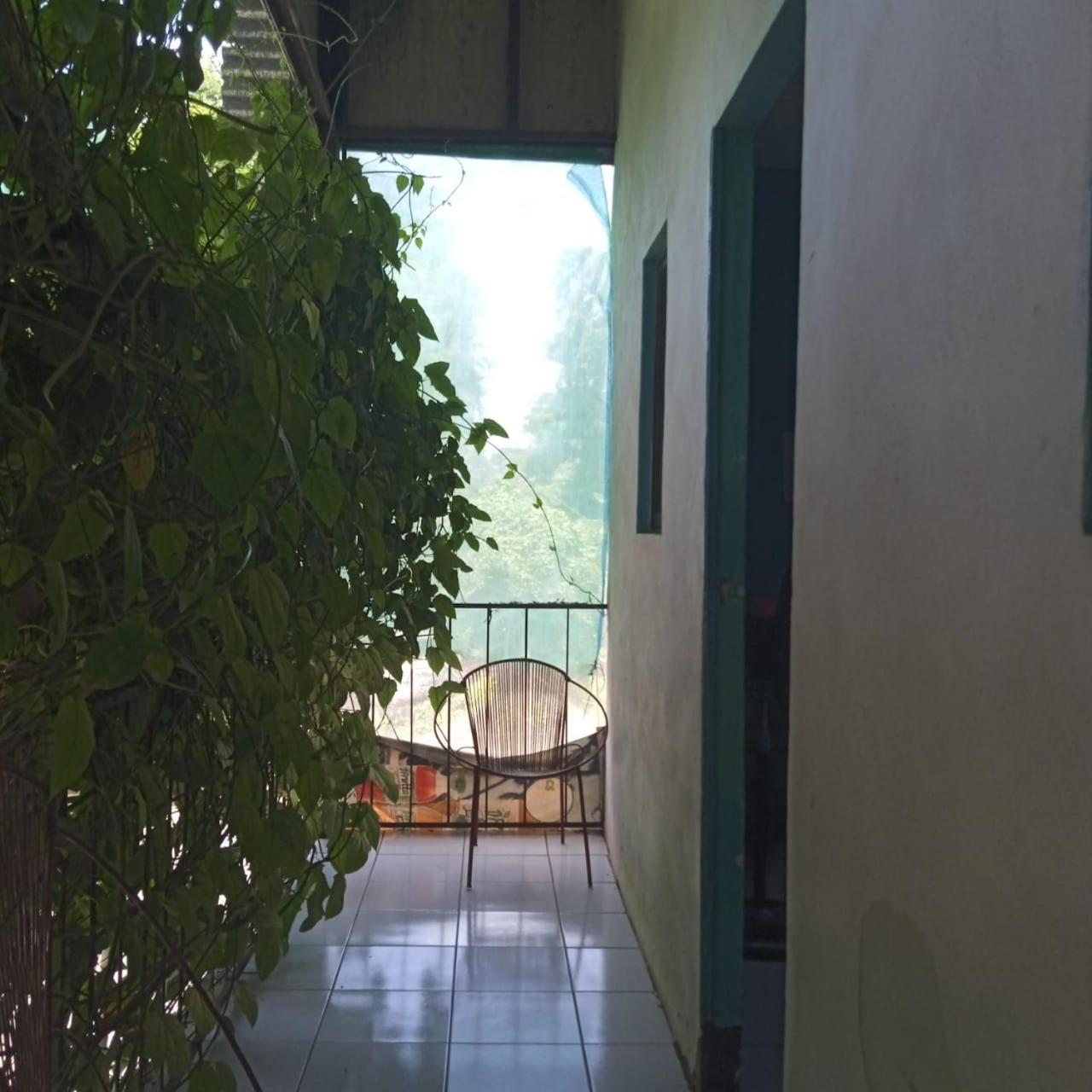 Double Room with Terrace photo 3