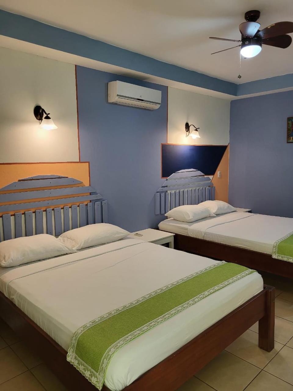 Deluxe Twin Room photo 1