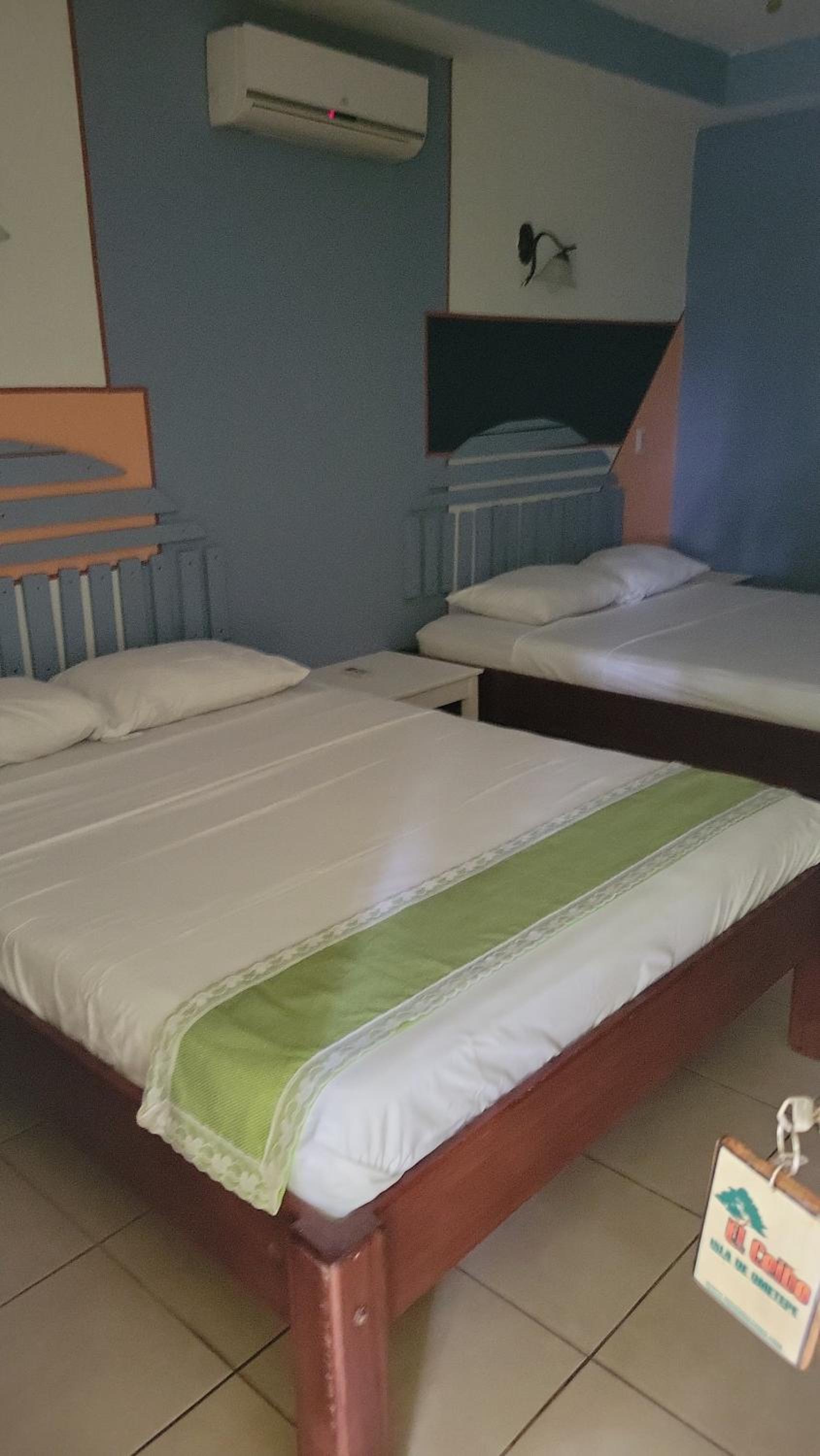 Deluxe Twin Room photo 3
