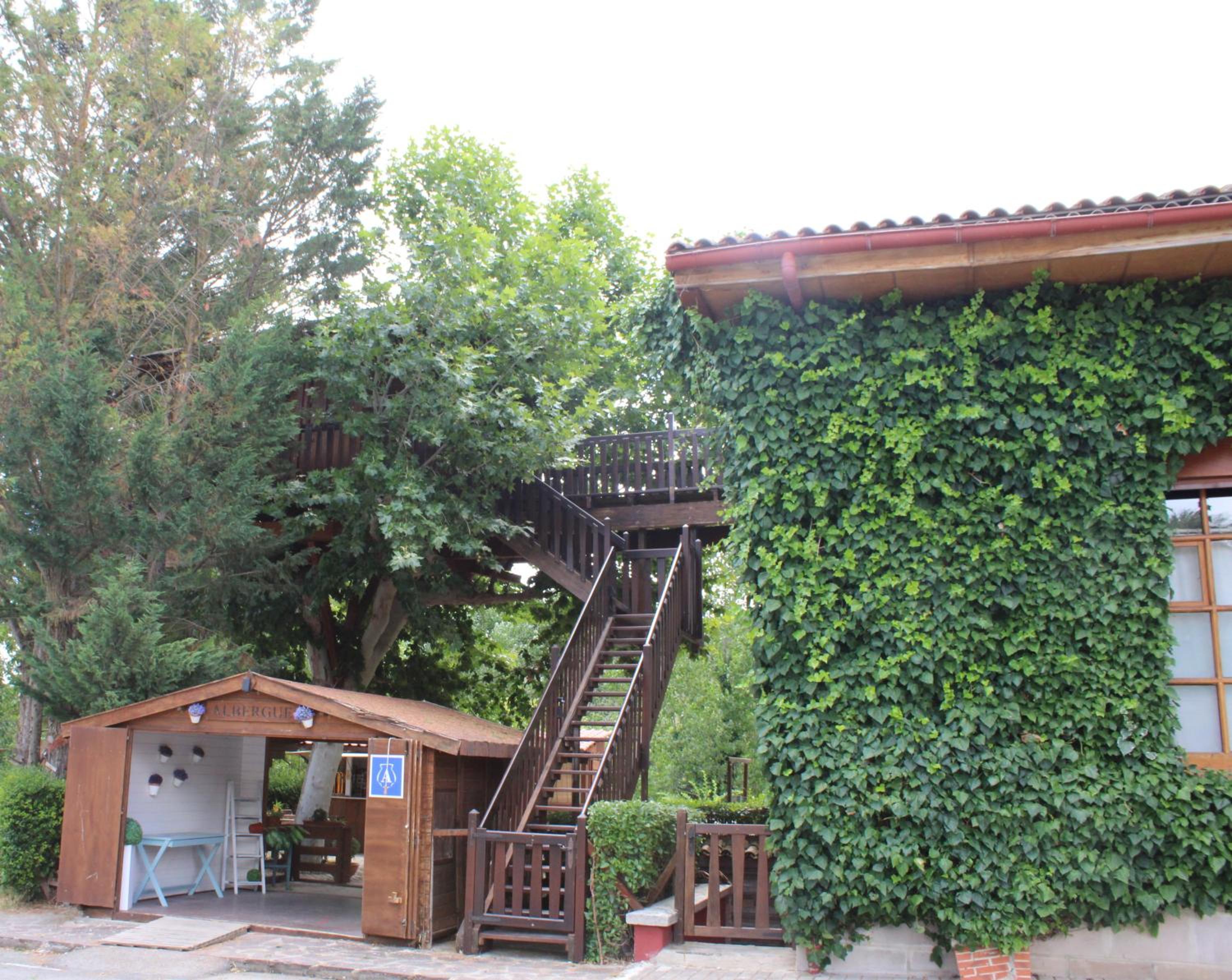 Double Room in a Tree photo 3