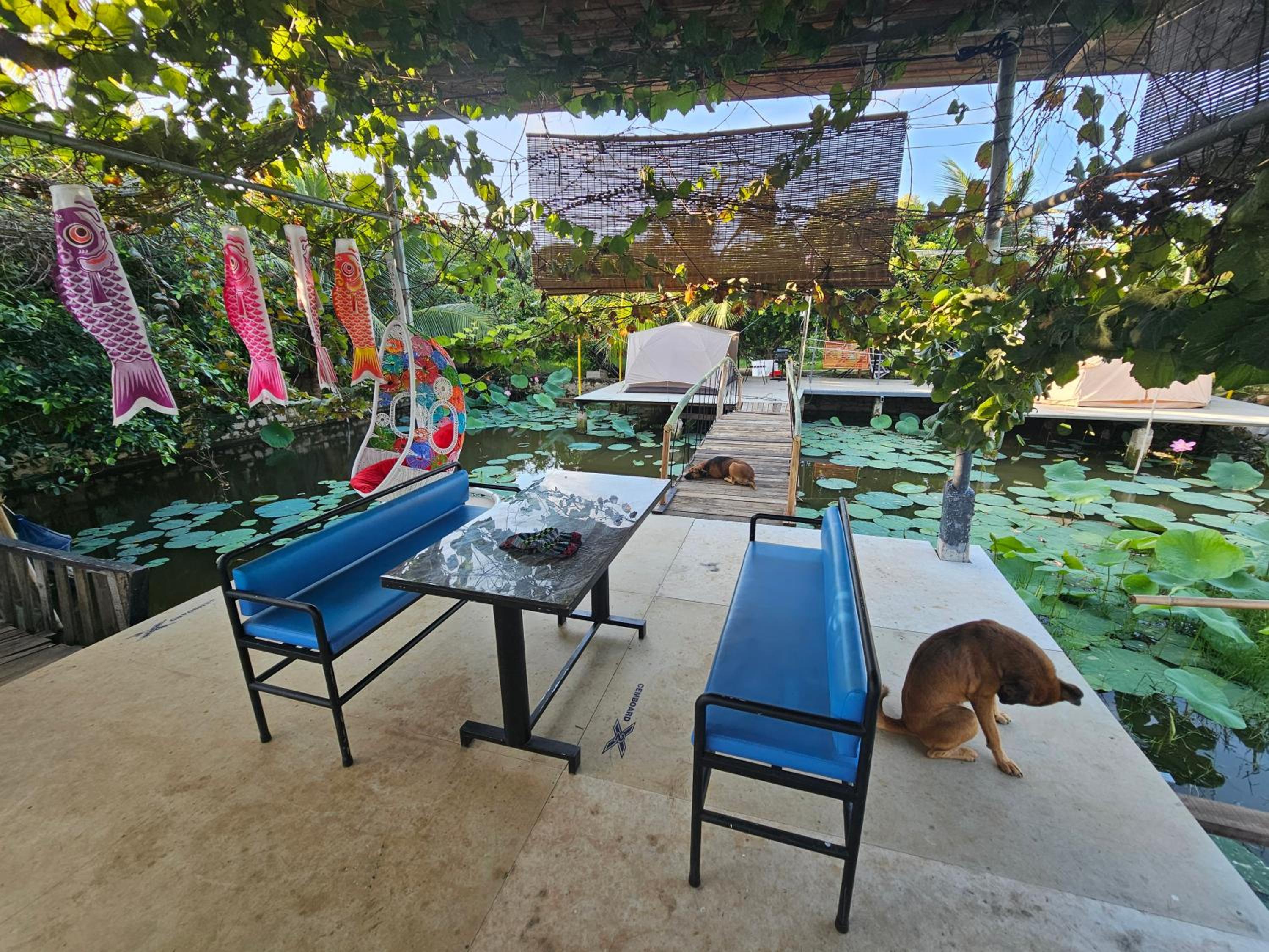 Holiday Home - Photo 31