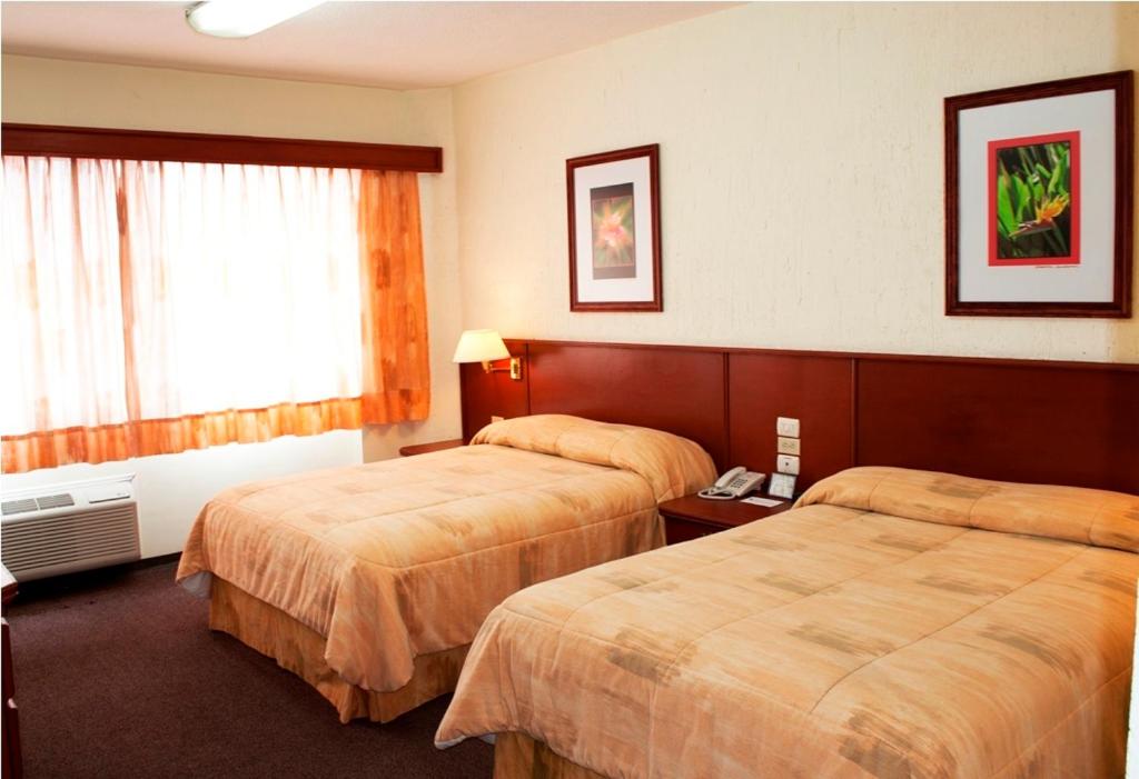 Standard Double Room photo 3