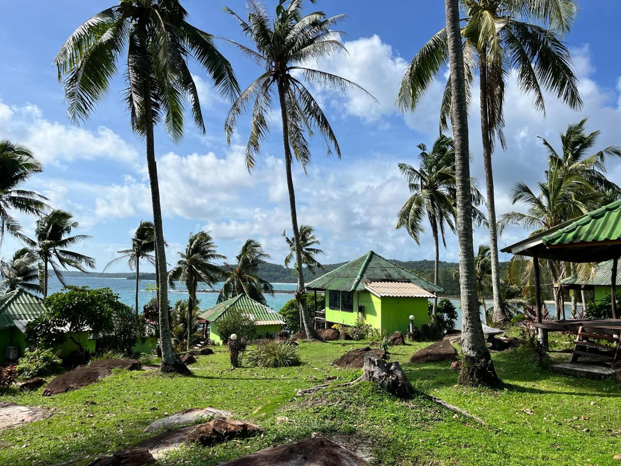 Double Room with Garden View photo 3