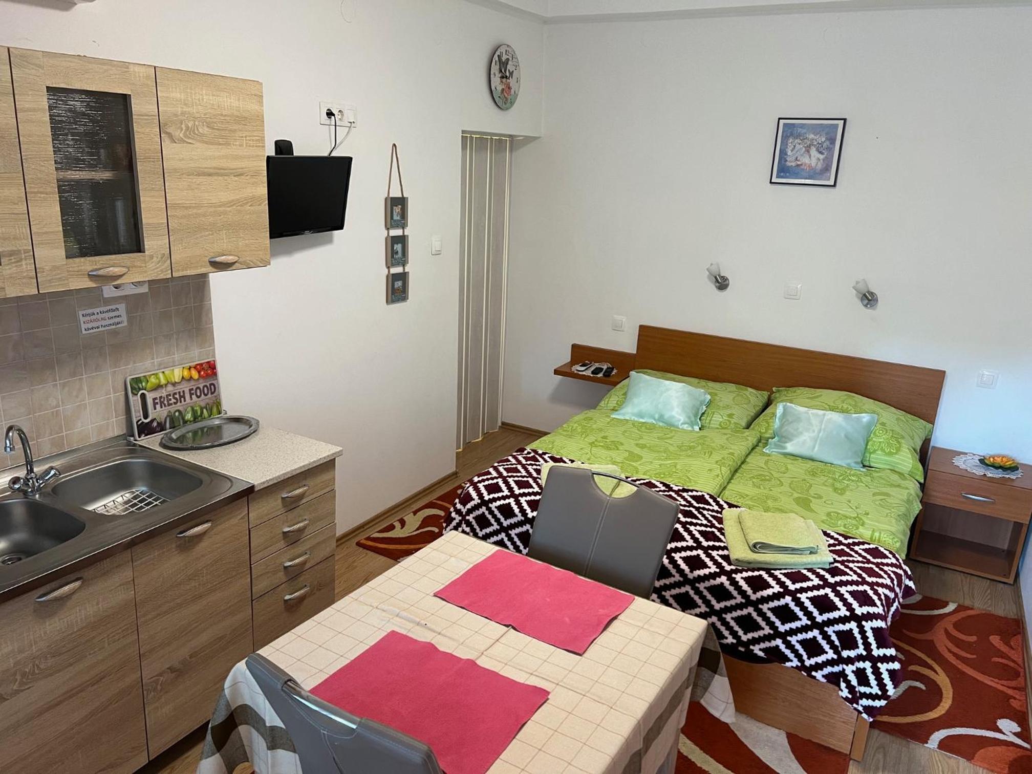 Studio Apartment