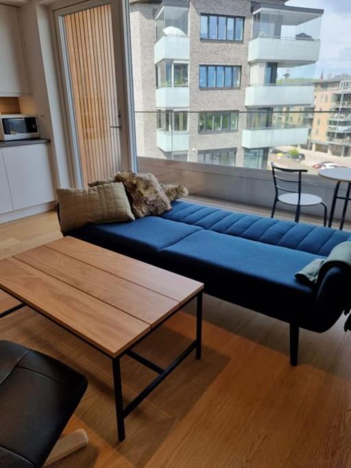 One-Bedroom Apartment photo 3
