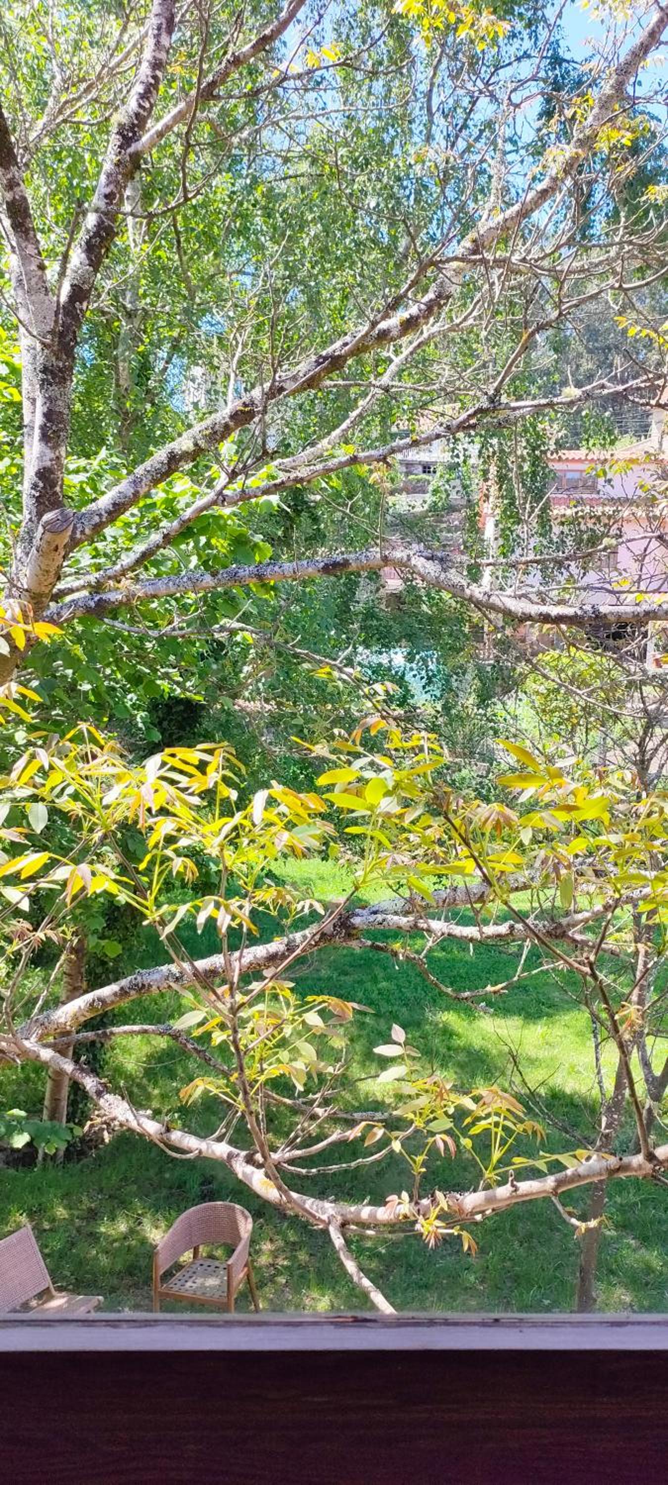 Double Room with Garden View photo 3