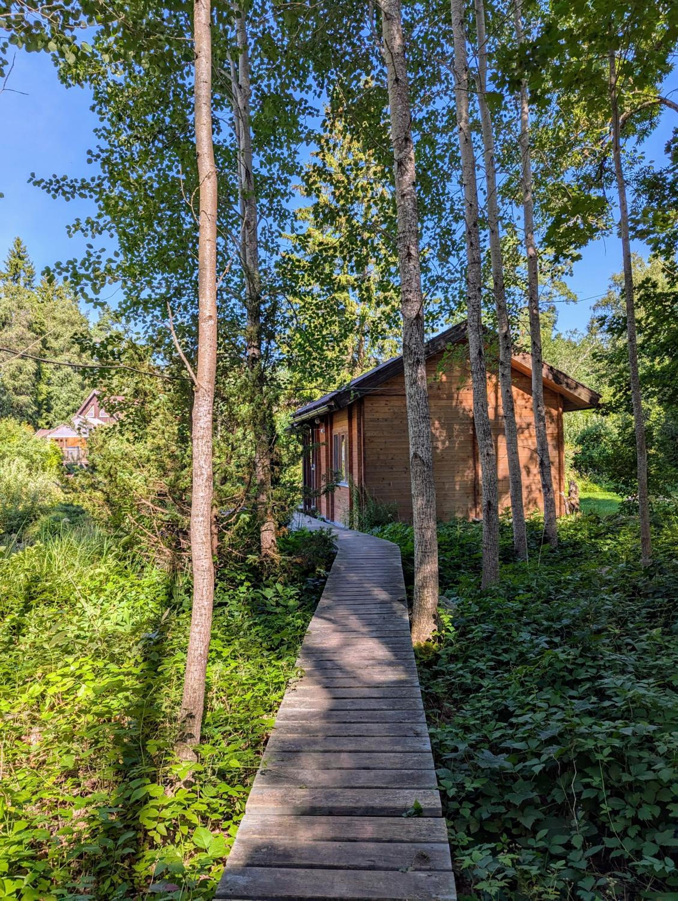 Cottage photo 2