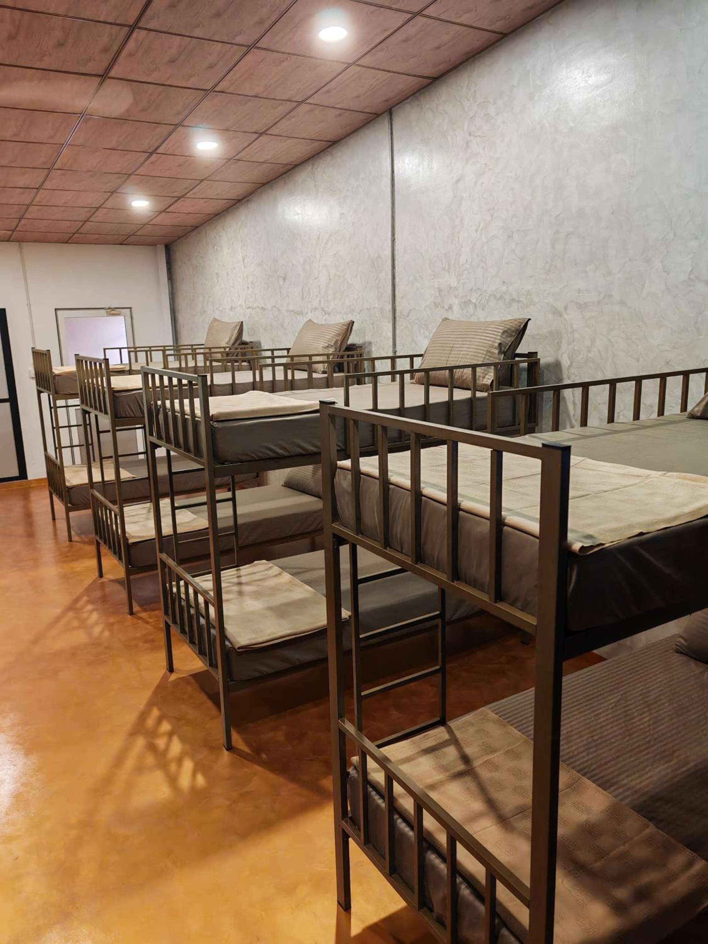 Bunk Bed In Male Dormitory Room  photo 1