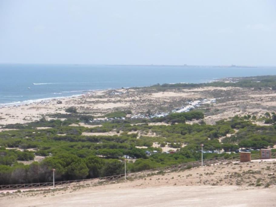 Three-Bedroom Apartment photo 3
