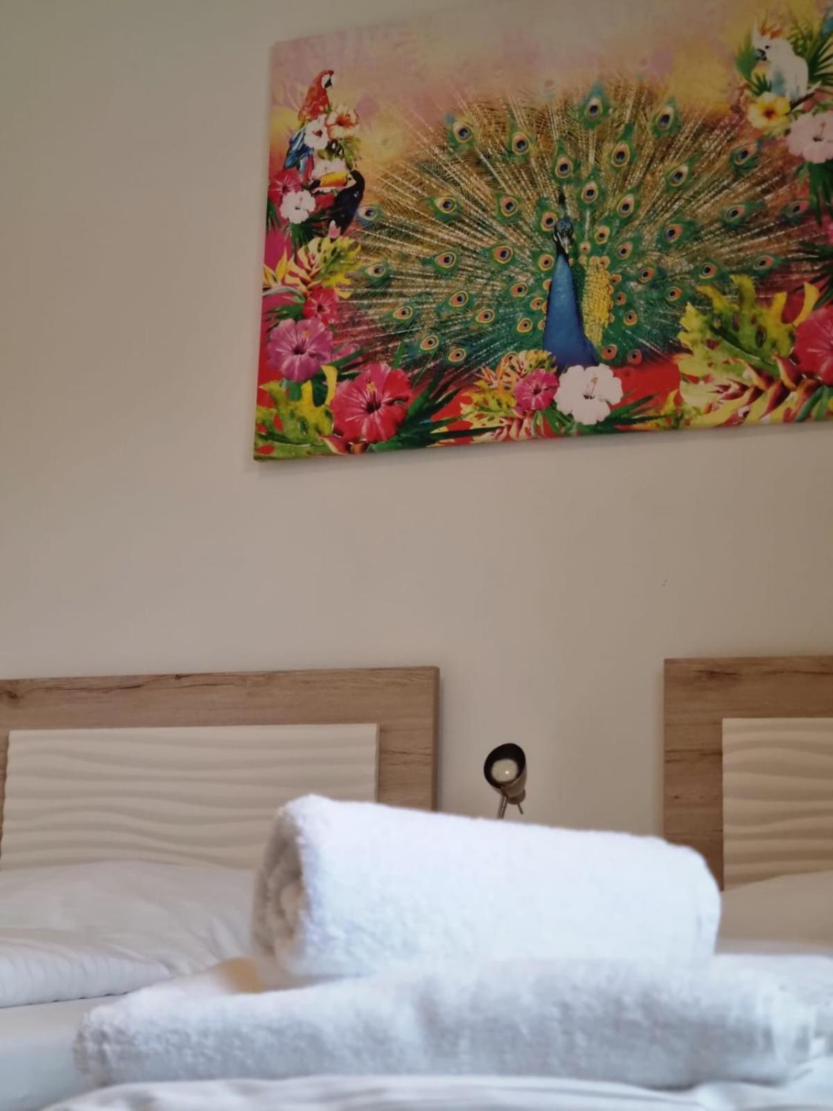 Twin Room photo 3