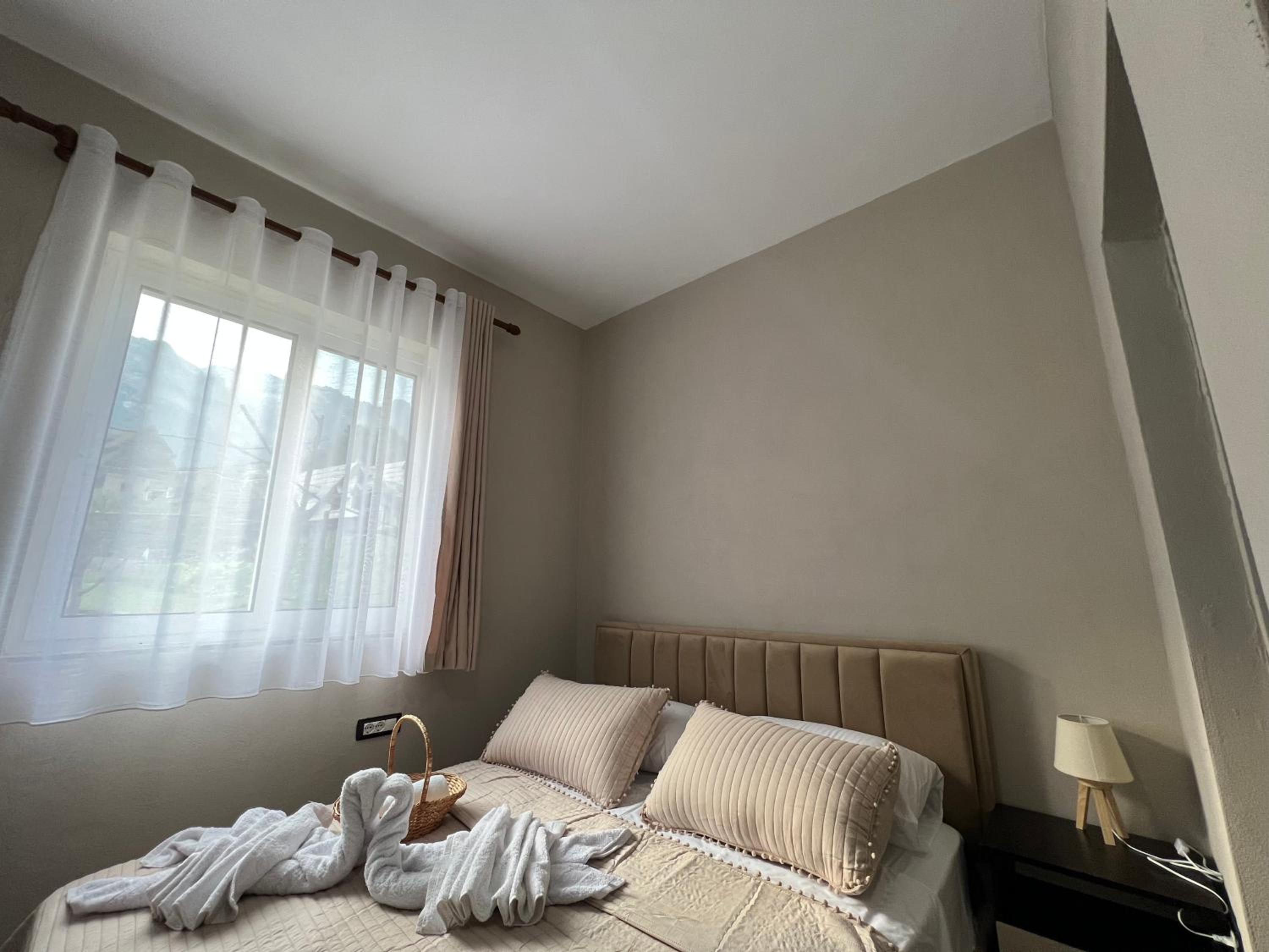Double or Twin Room photo 1