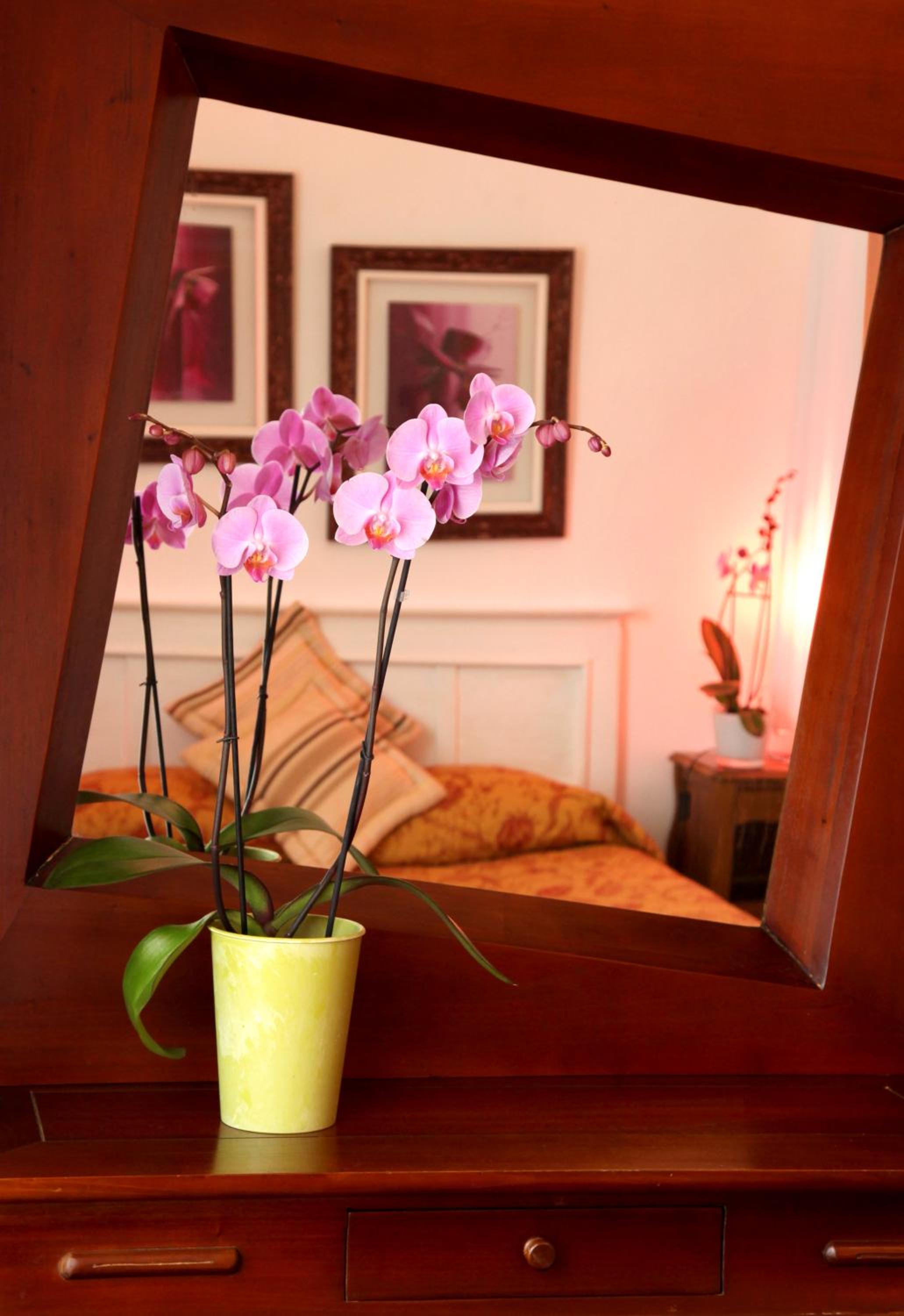 Standard Single Room photo 2