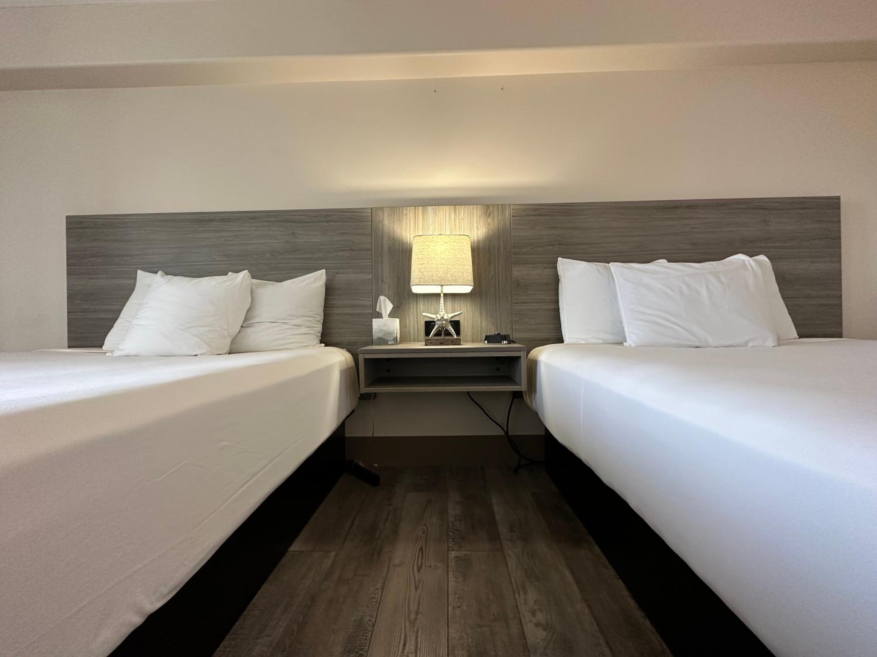 Double Queen Suite photo 2