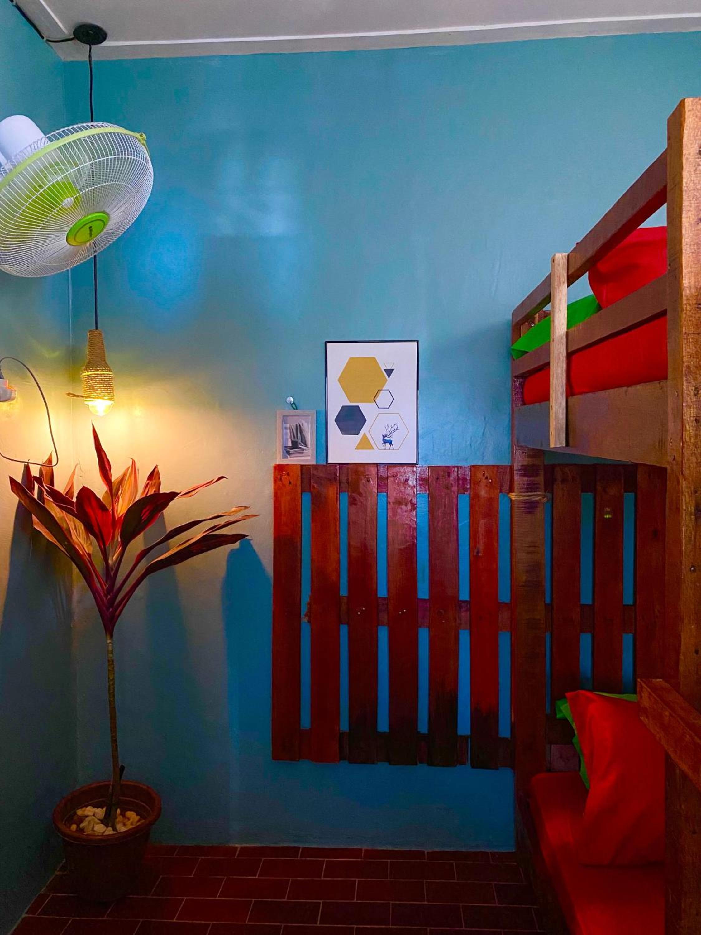 Bunk Bed in Mixed Dormitory Room