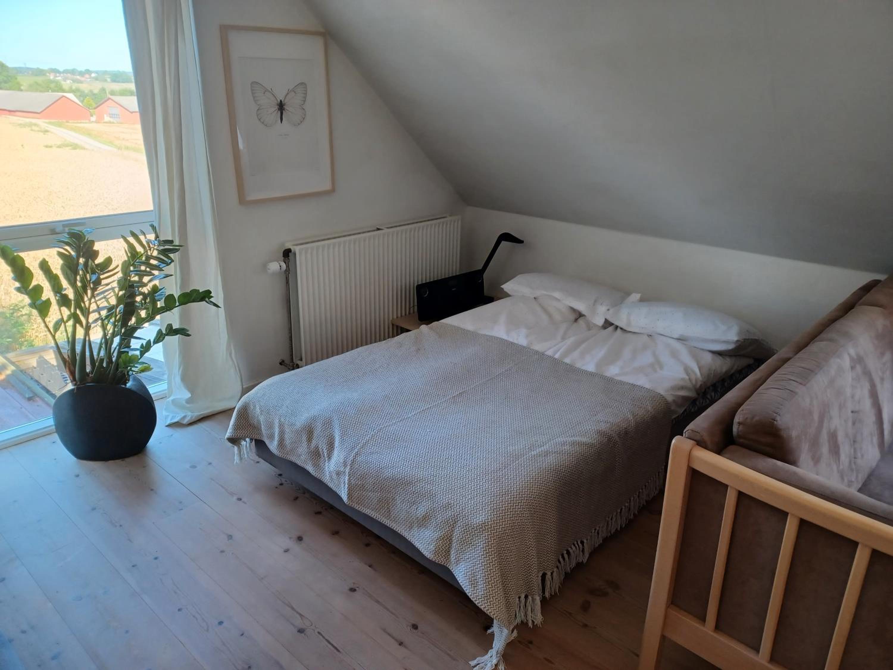 Twin Room photo 3