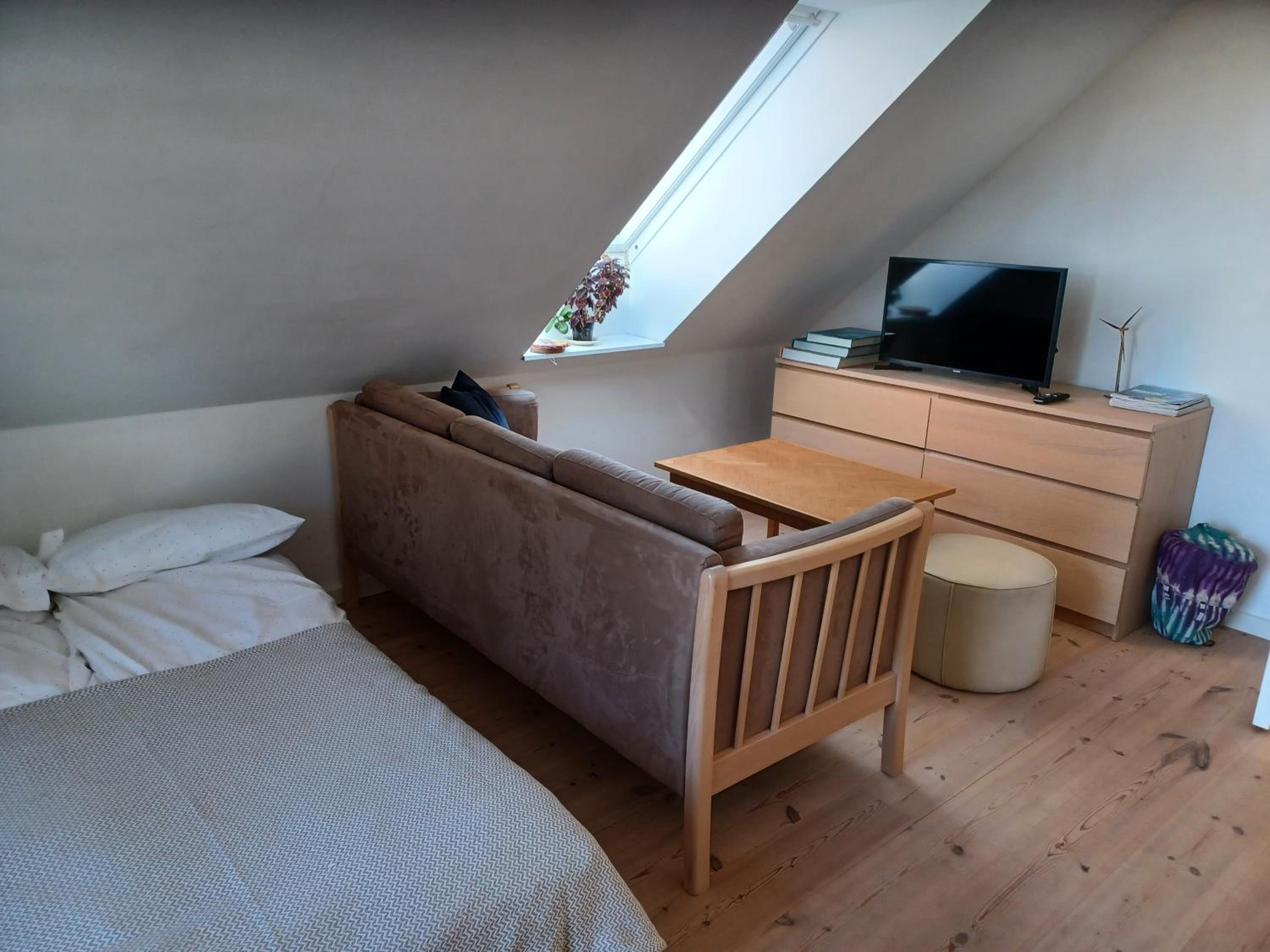 Twin Room photo 2