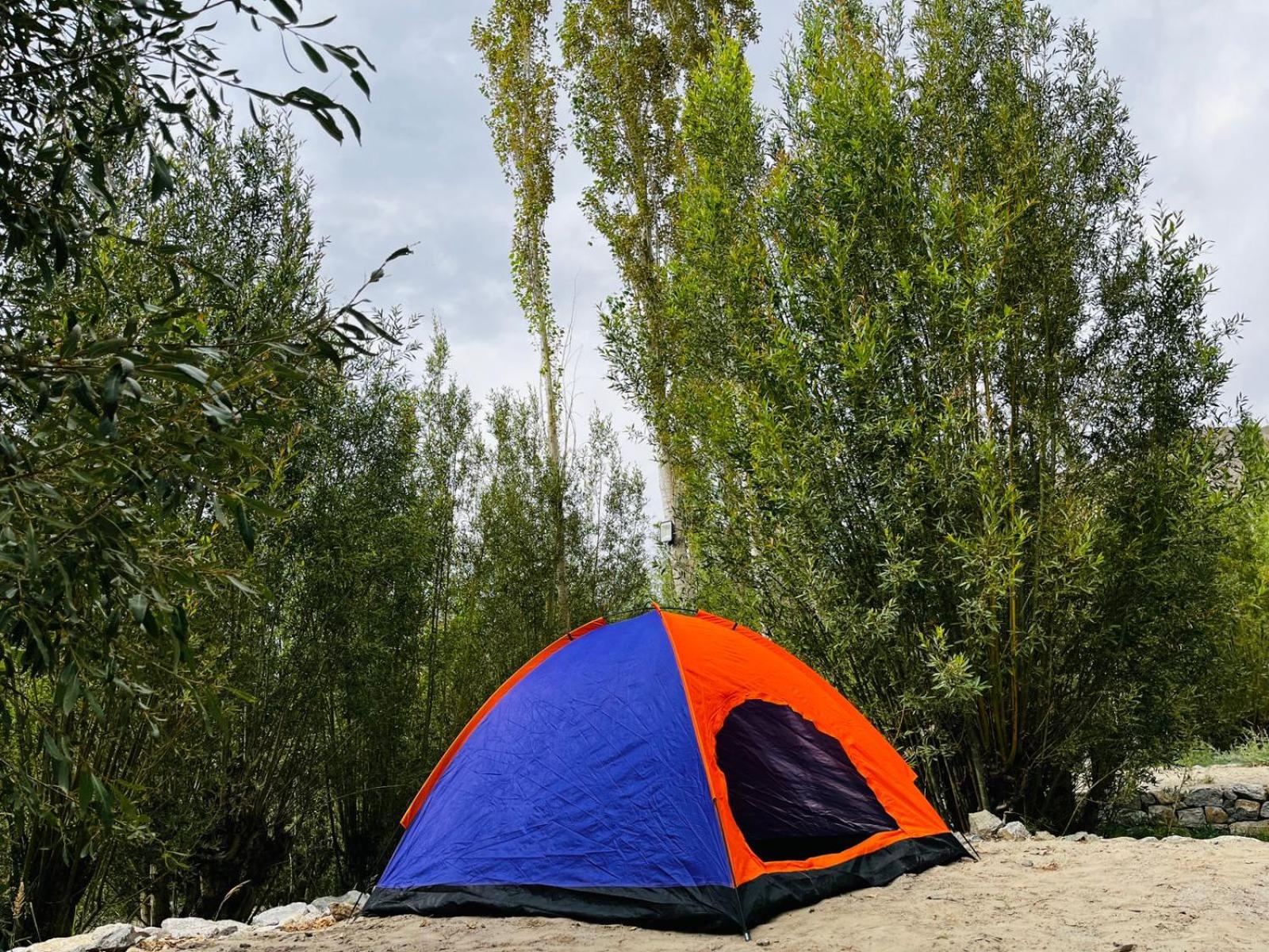 Tent photo 3