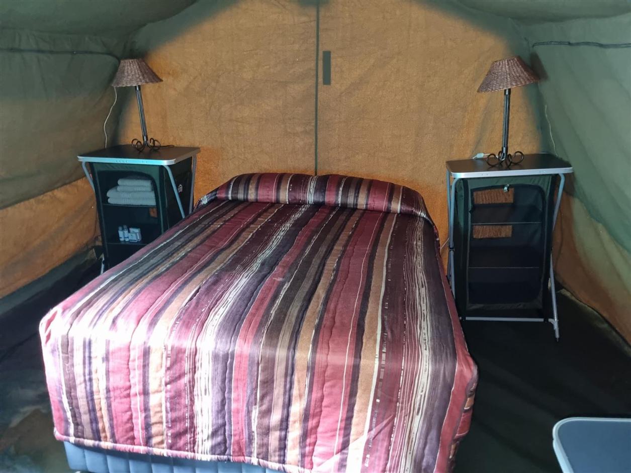 Luxury Tent (2-sleeper) photo 1