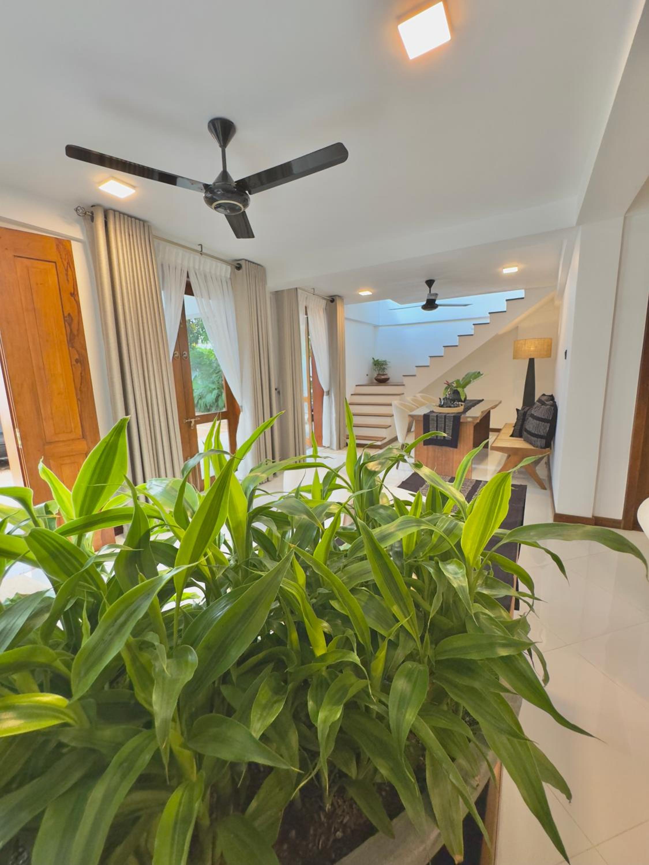 Villa photo 2