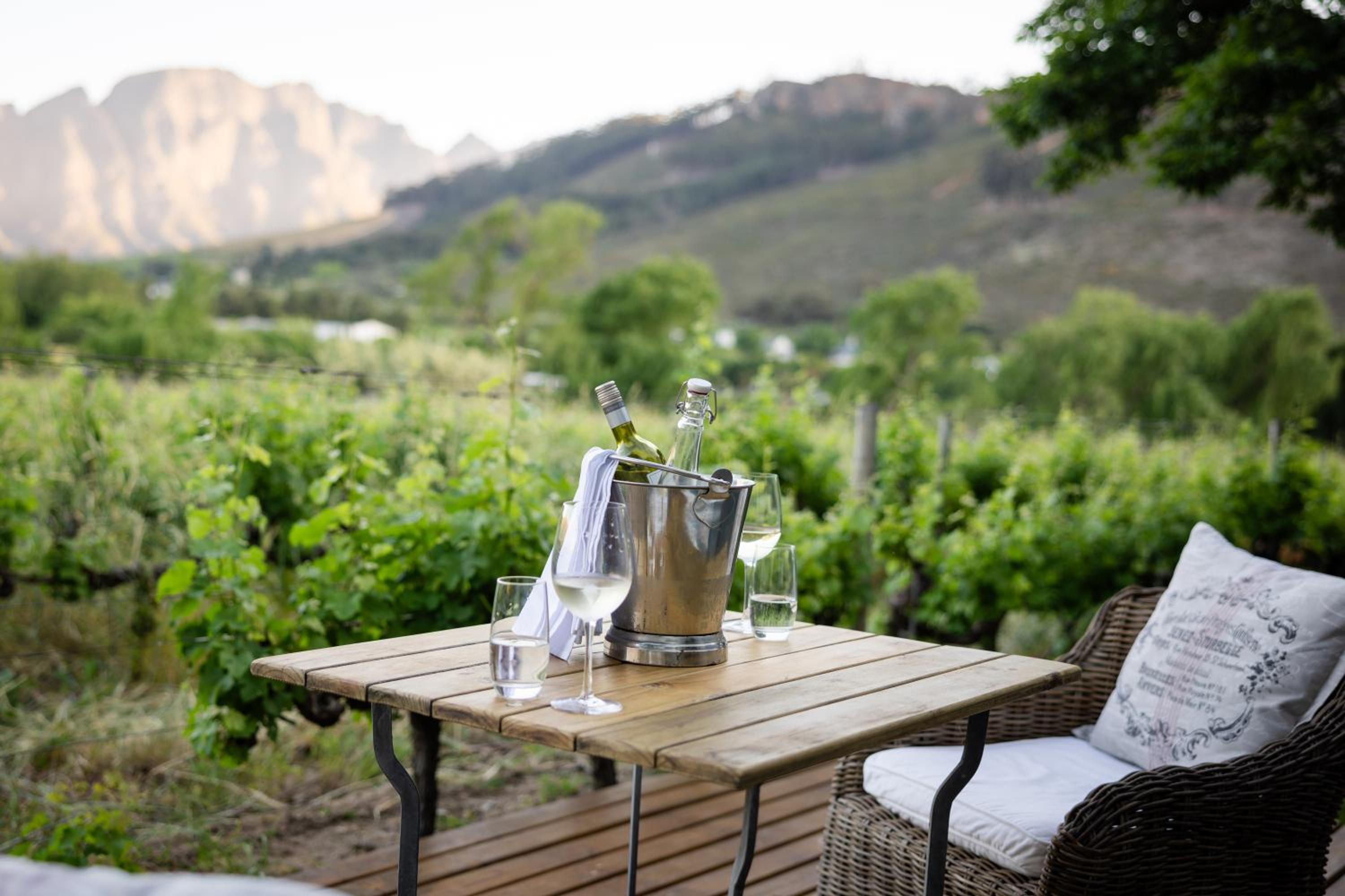 Suite with Mountain View - Photo 4